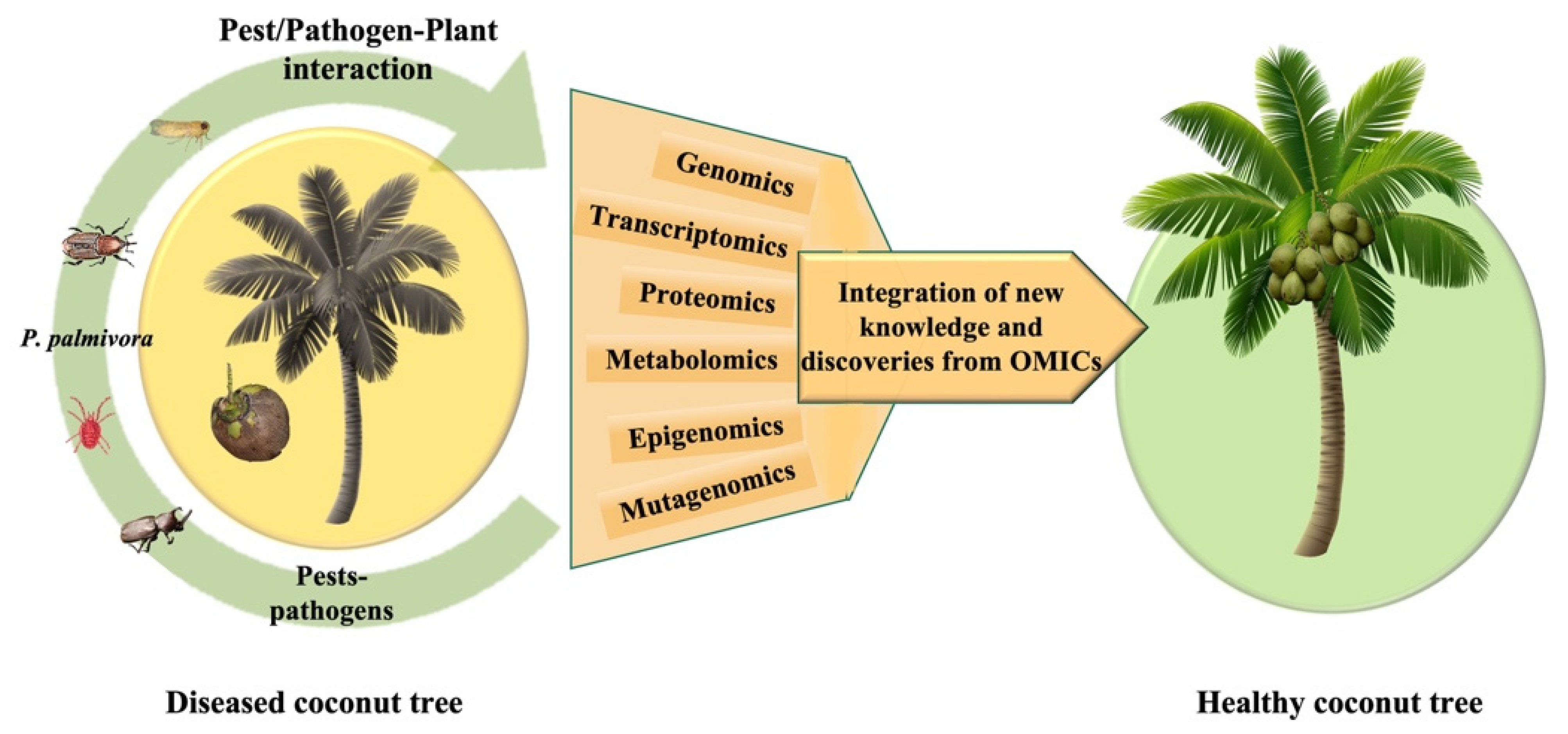 Agronomy | Free Full-Text | Potential of Omics to Control Diseases and 