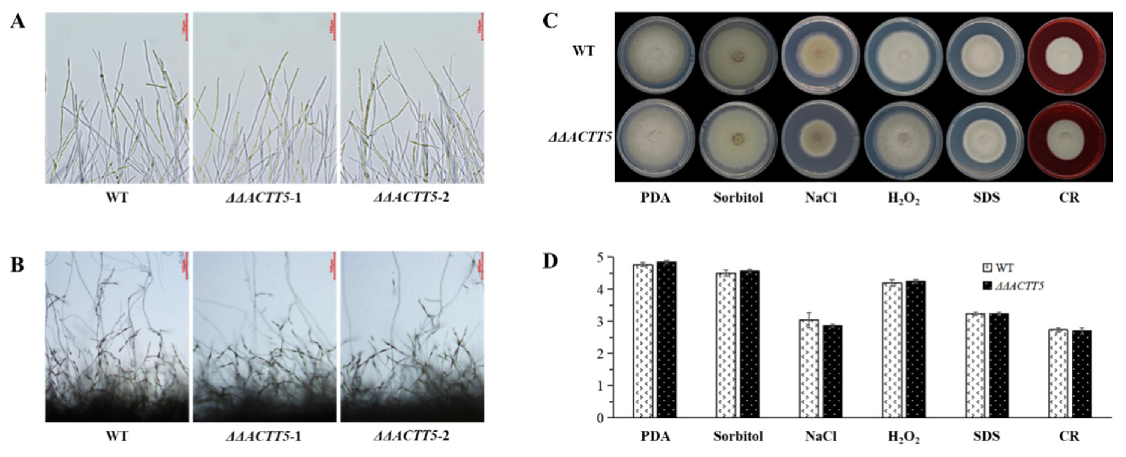 Agronomy 12 03181 g003