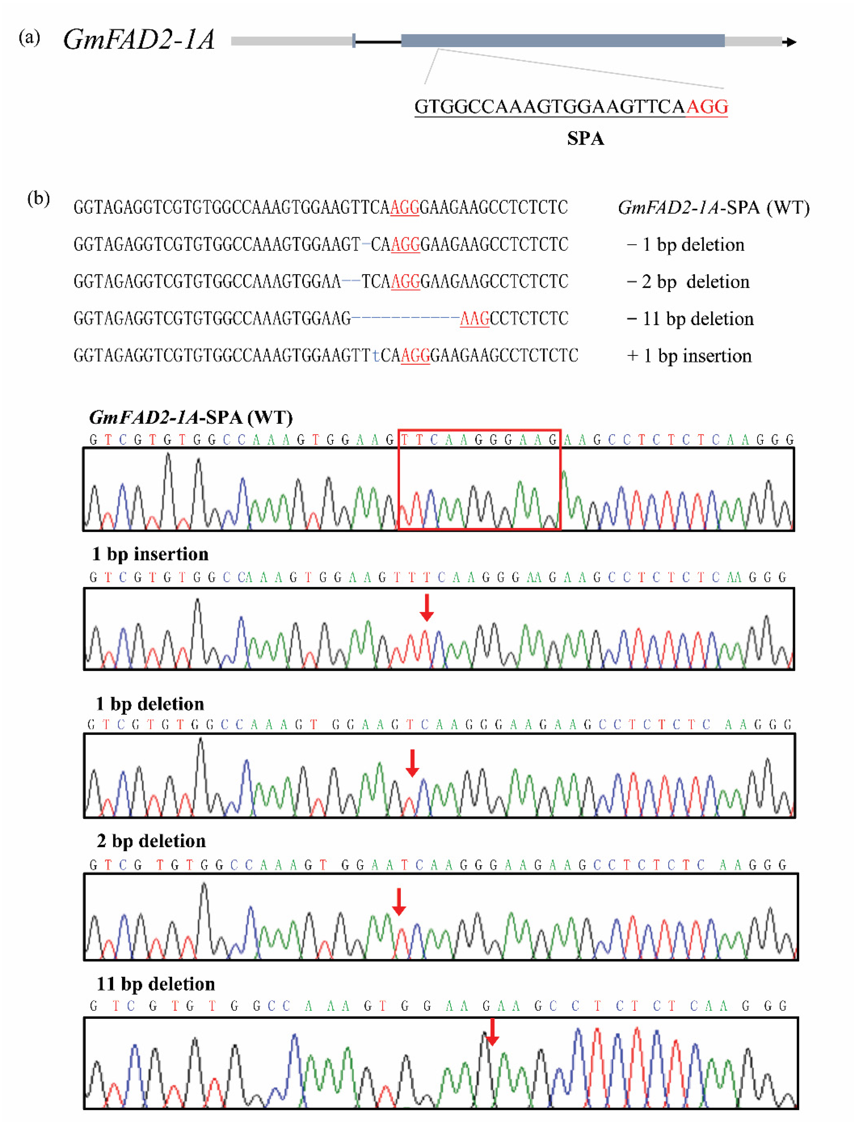 Agronomy 12 03218 g001 Agronomy 12 03218 g001