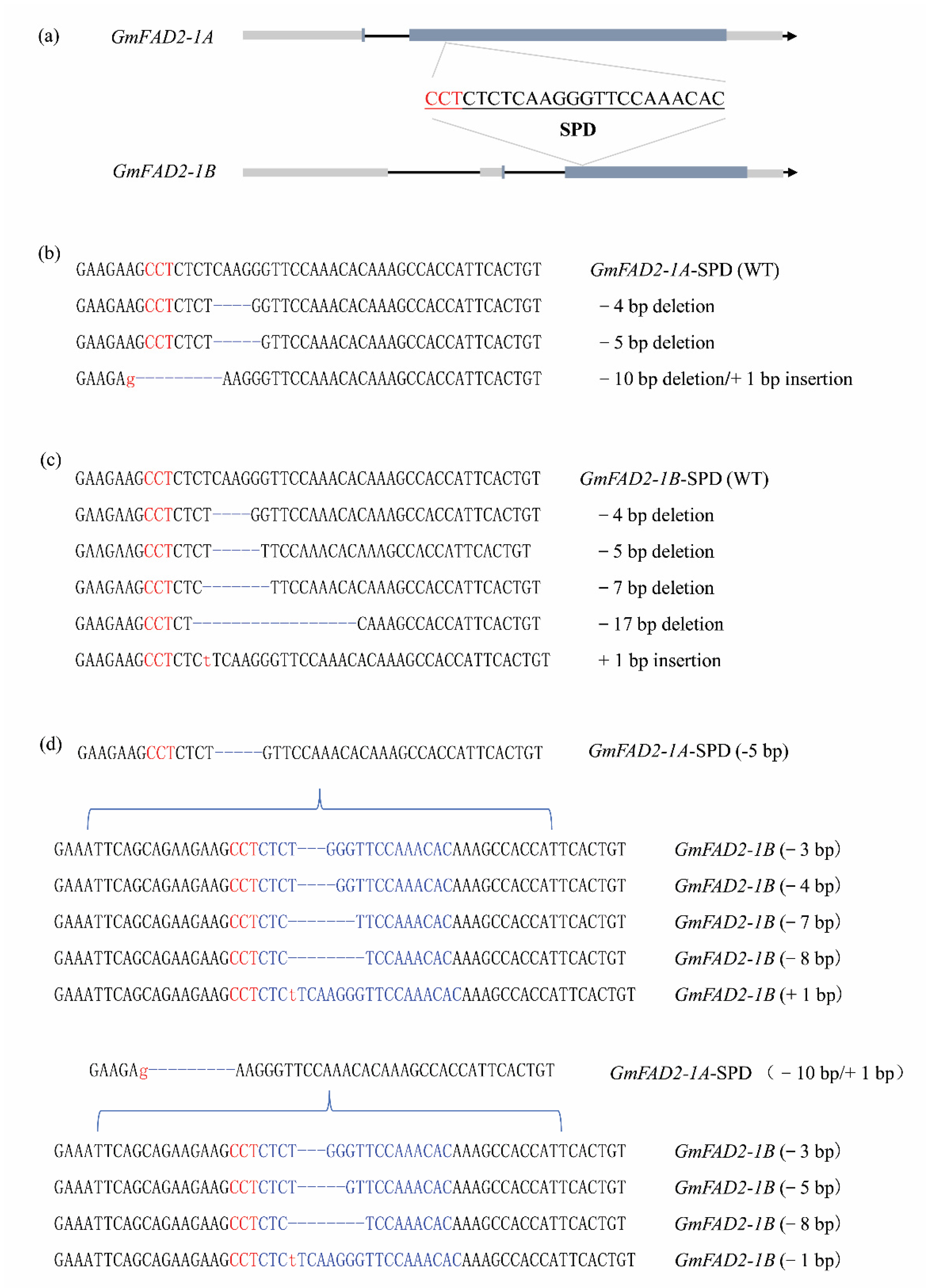 Agronomy 12 03218 g002 Agronomy 12 03218 g002