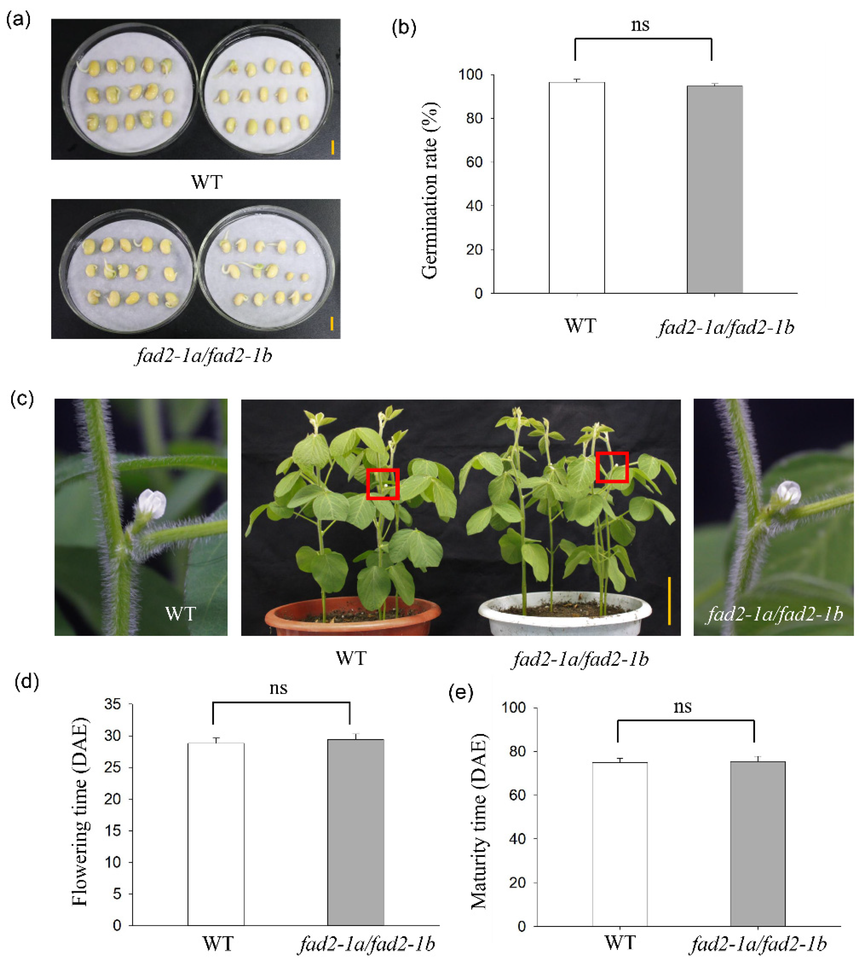 Agronomy 12 03218 g004 Agronomy 12 03218 g004