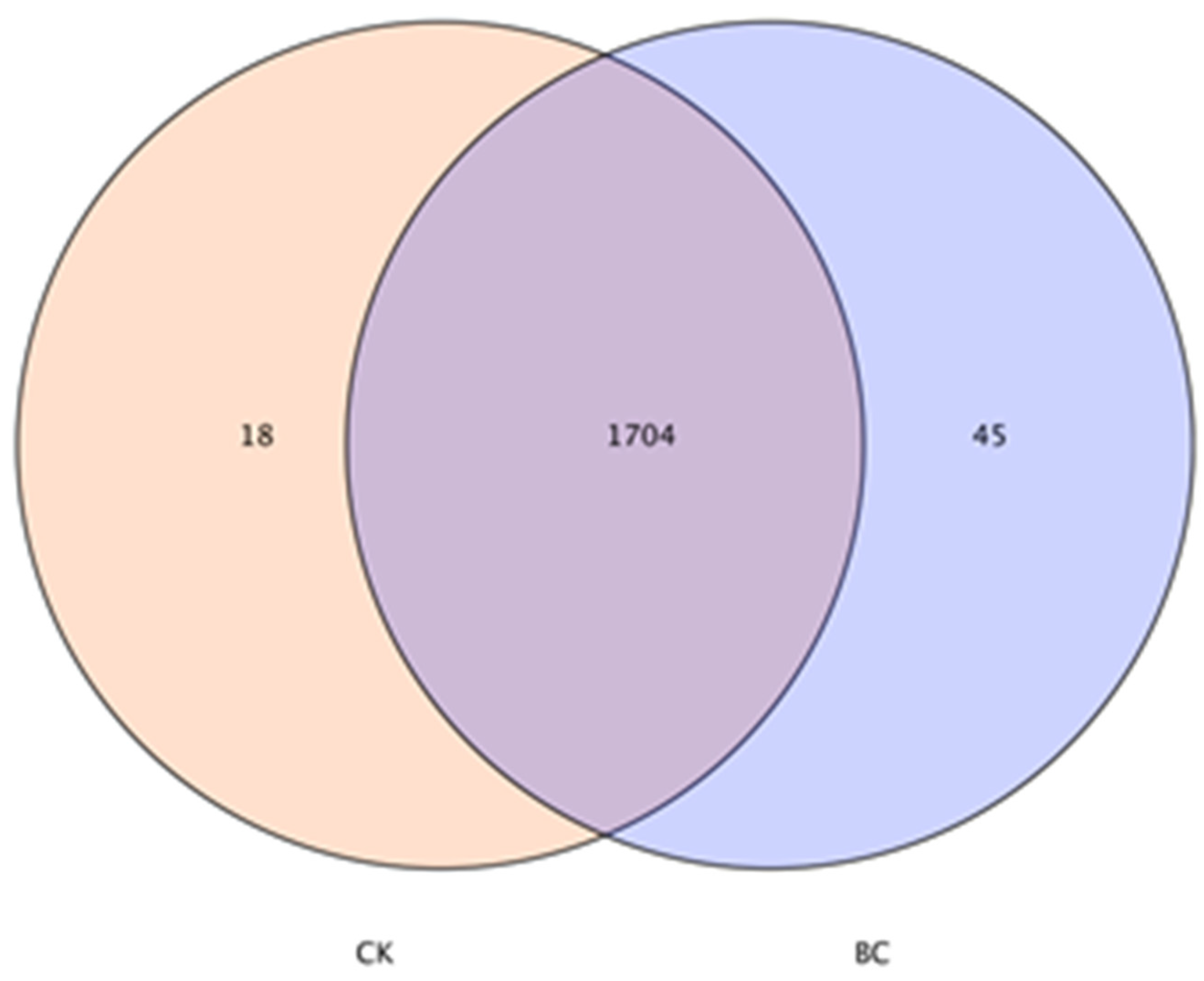 Agronomy 13 00004 g005