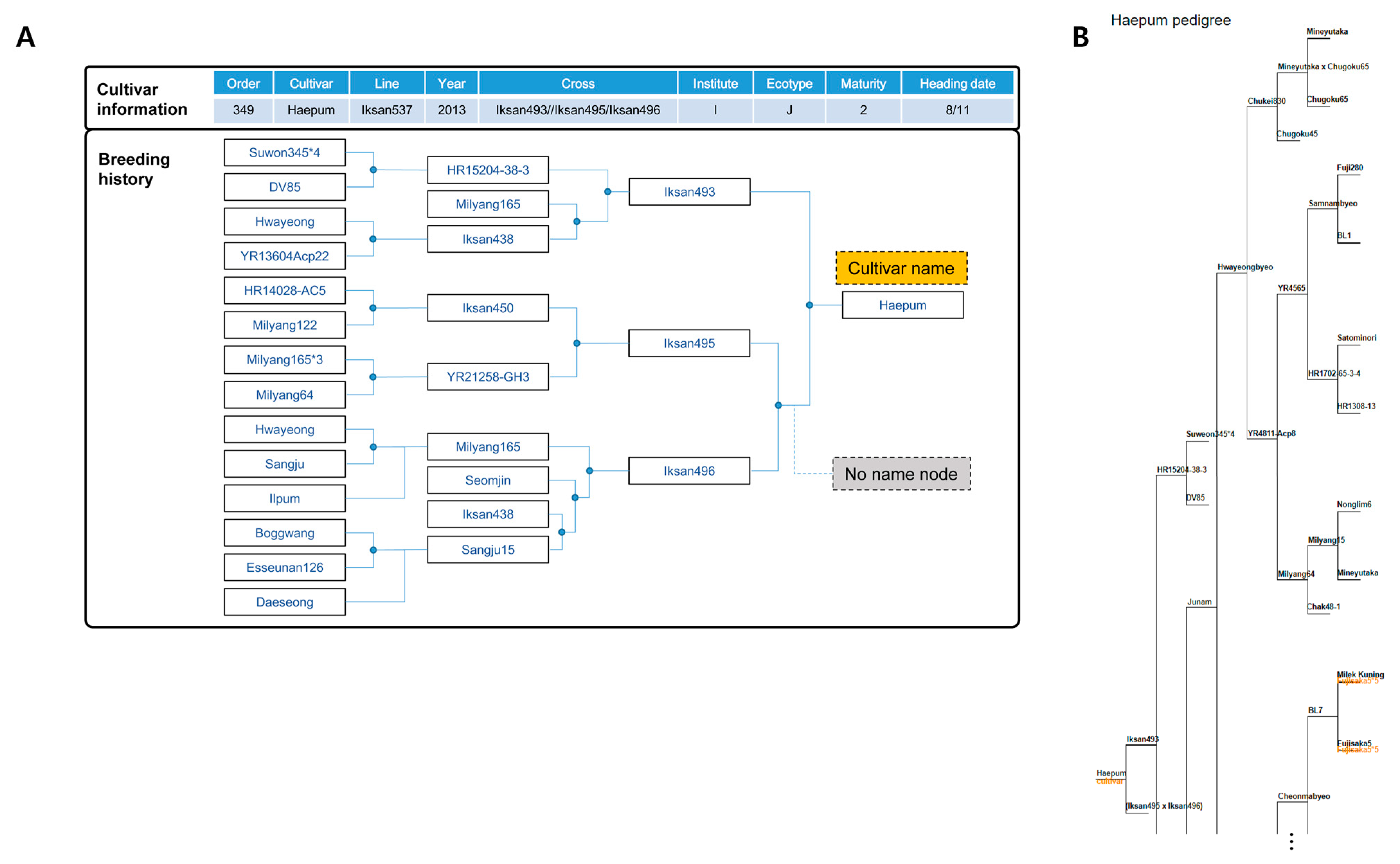 Agronomy 13 00069 g001 Agronomy 13 00069 g001