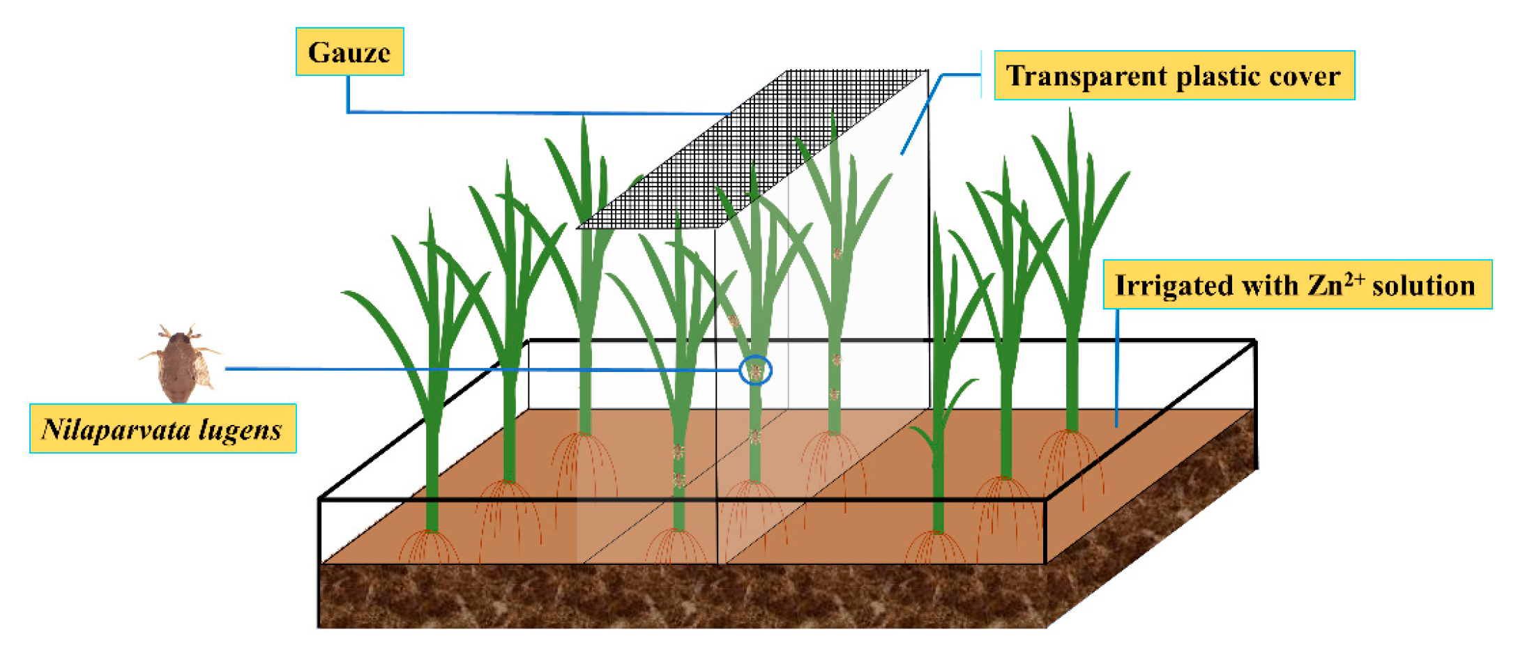 Agronomy 13 00073 g001 Agronomy 13 00073 g001