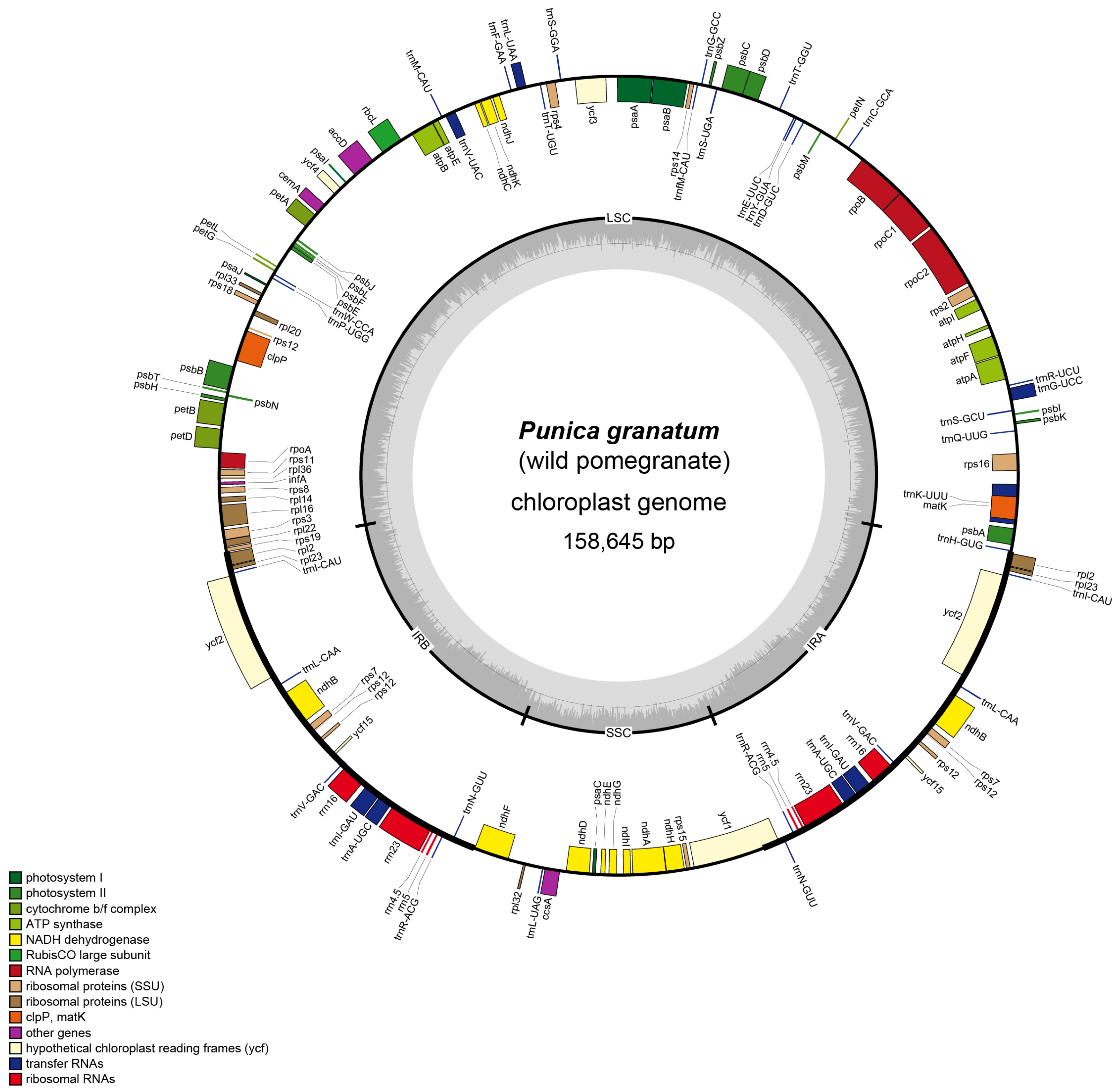 Agronomy 13 00126 g001