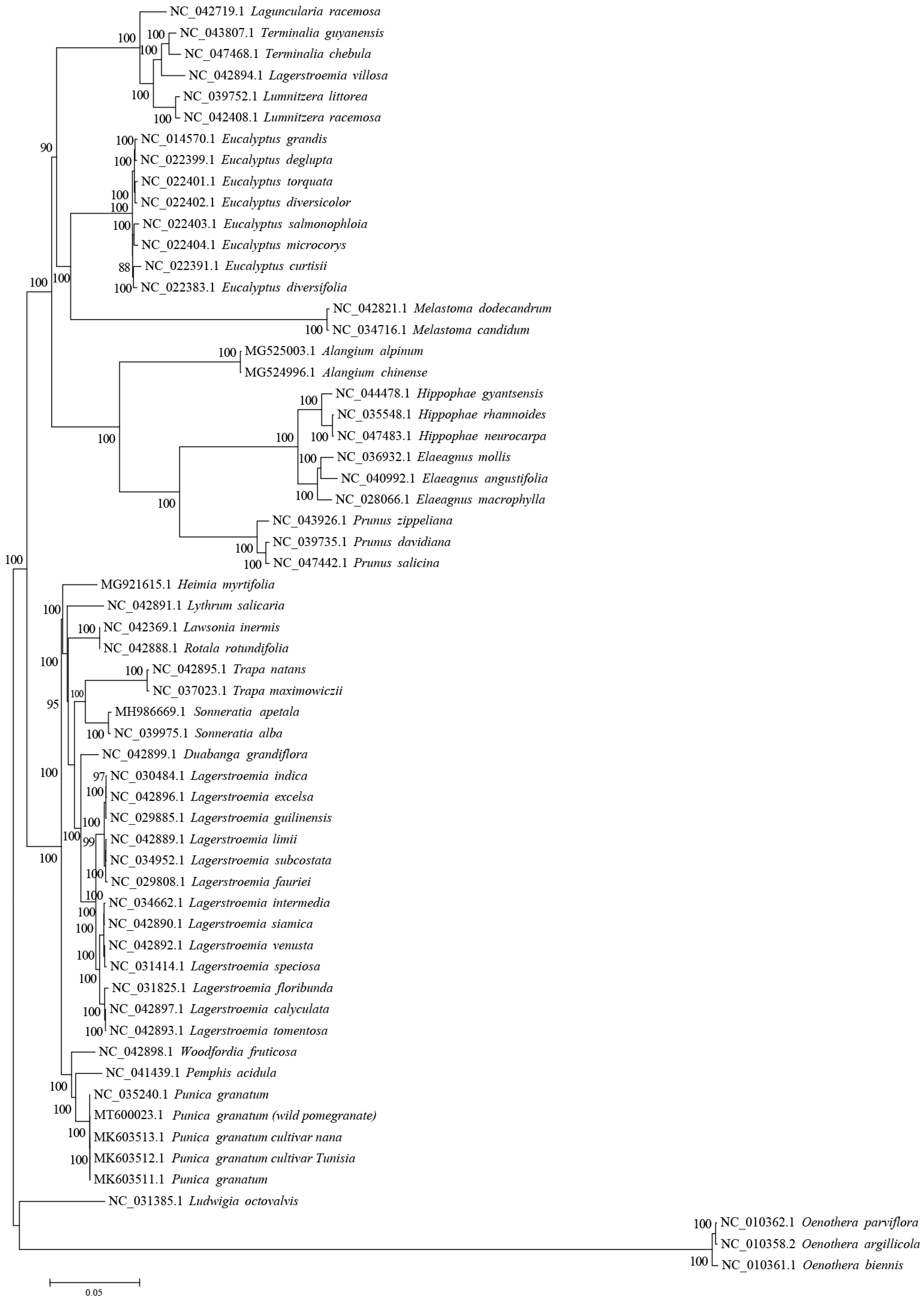 Agronomy 13 00126 g007
