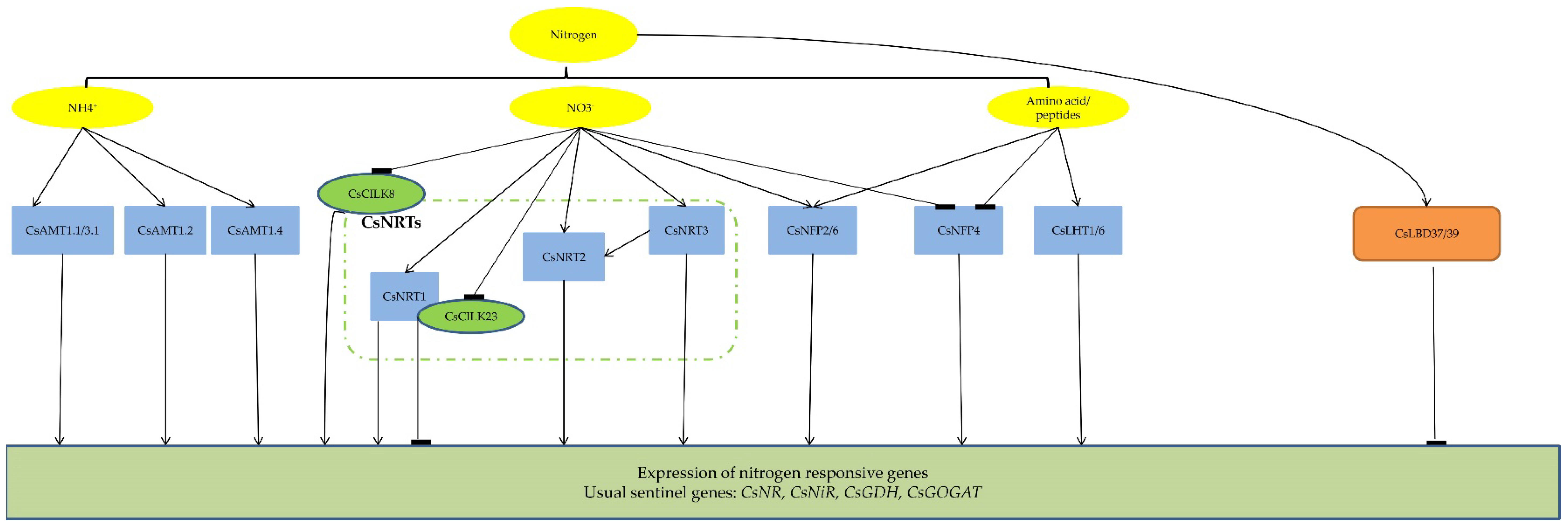 Agronomy 13 00144 g001 Agronomy 13 00144 g001