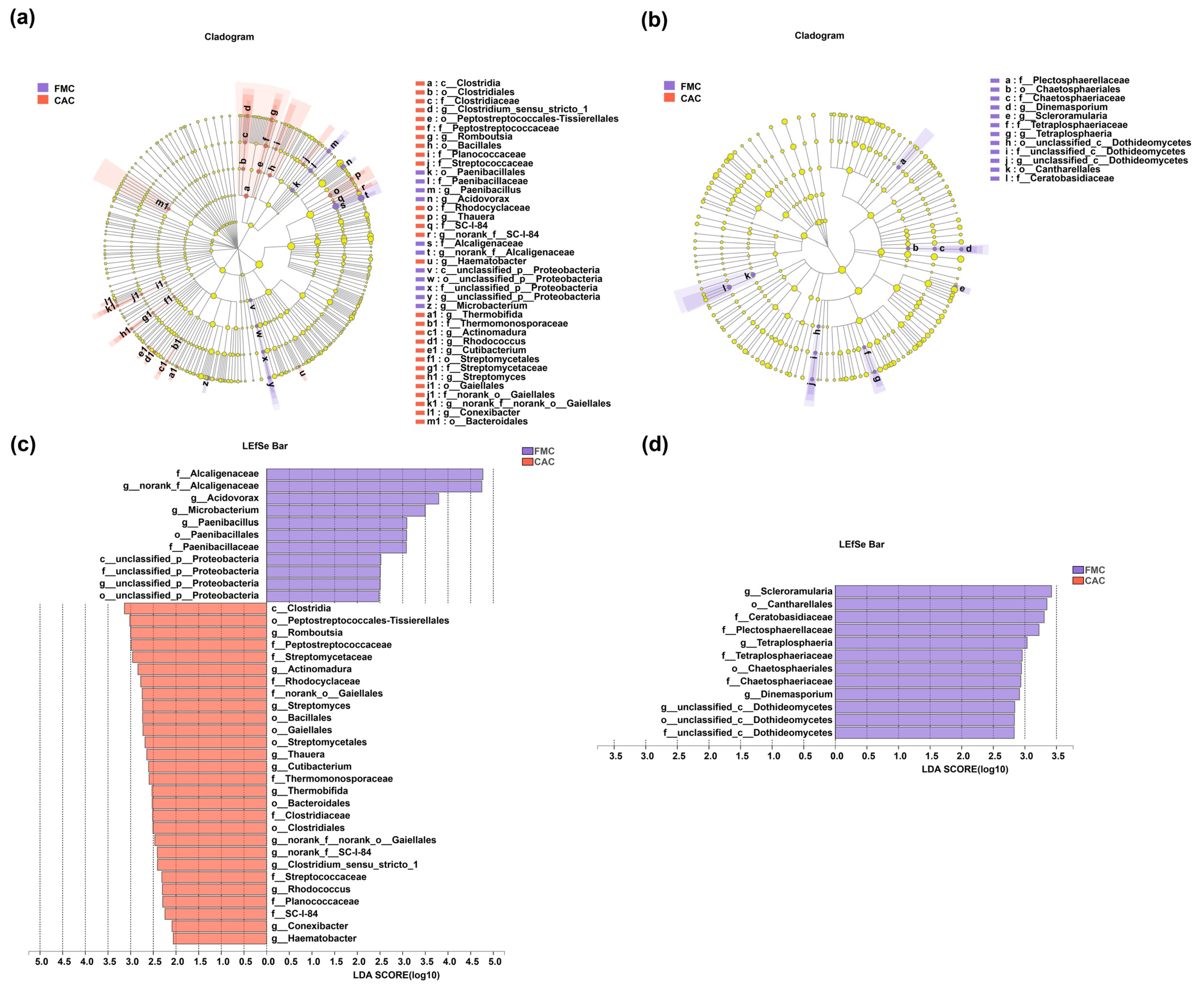 Agronomy 13 00153 g004 Agronomy 13 00153 g004