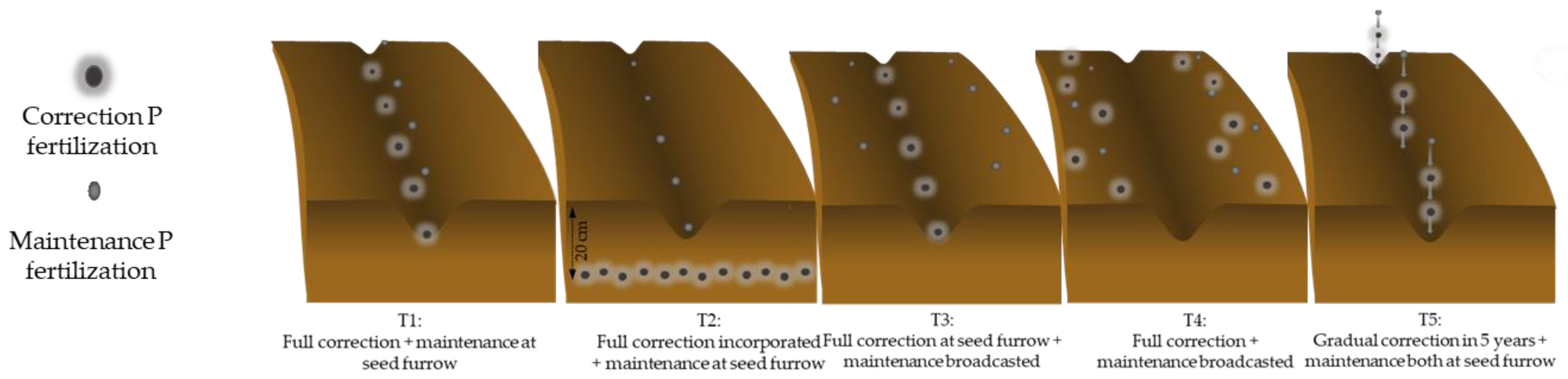 Agronomy 13 00158 g001