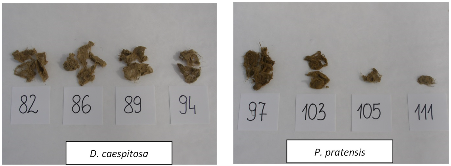 Agronomy 13 00160 g004 Agronomy 13 00160 g004