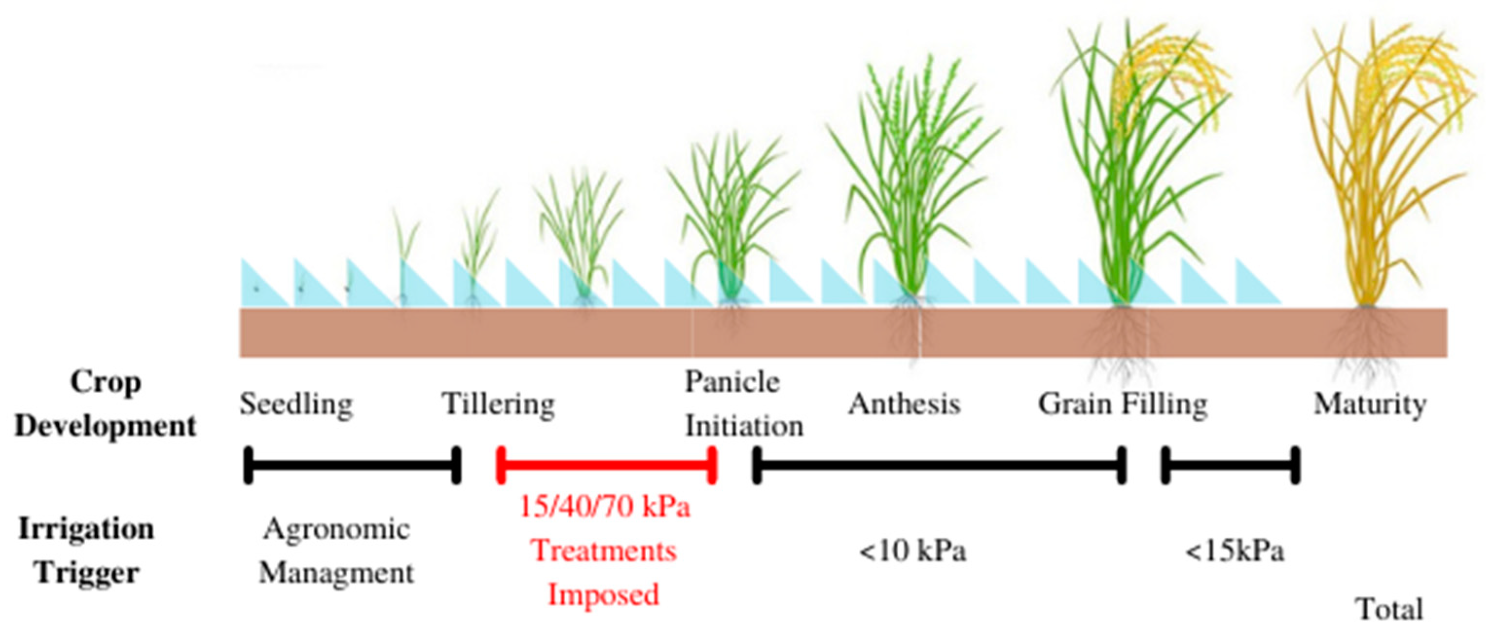 Agronomy 13 00168 g003 Agronomy 13 00168 g003