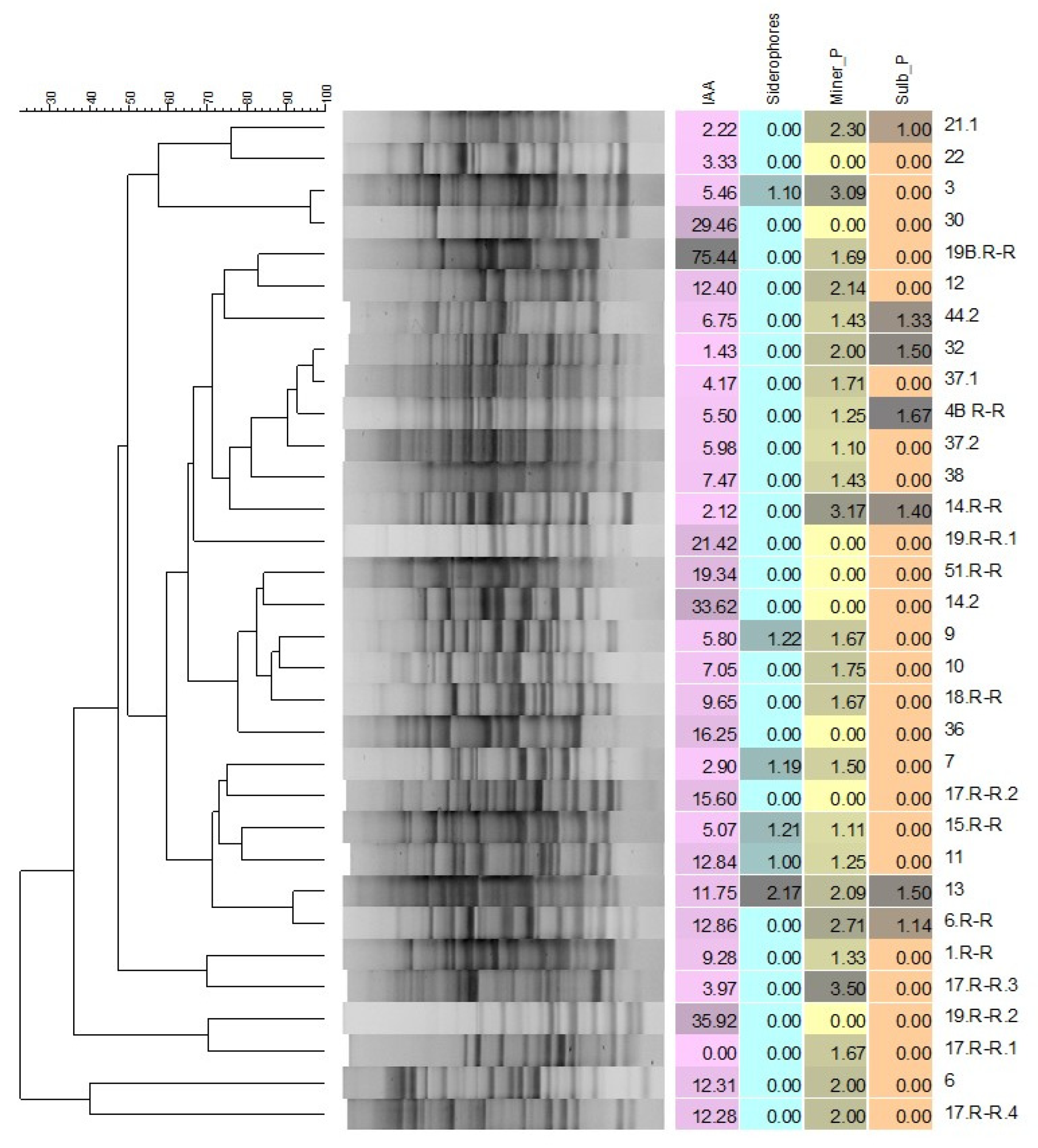 Agronomy 13 00183 g003