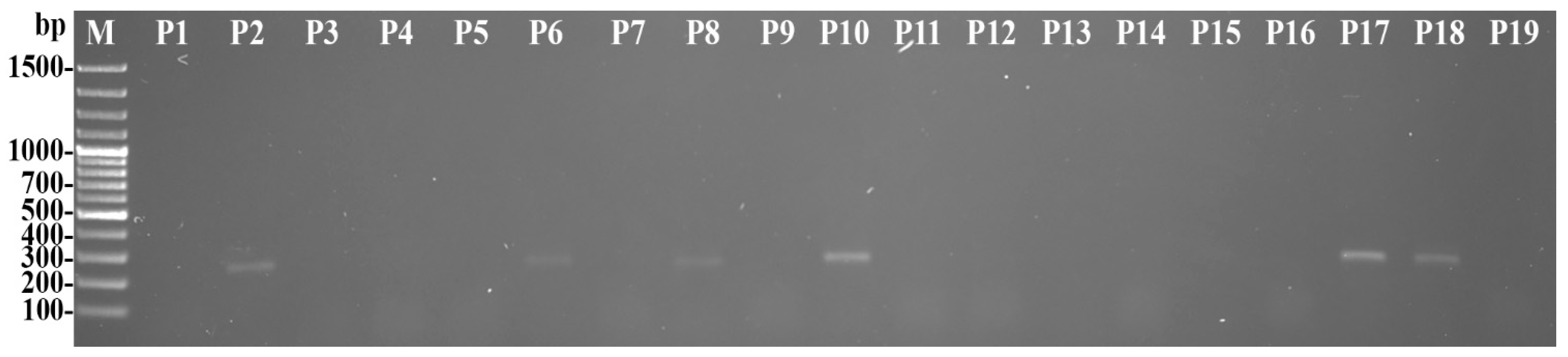 Agronomy 13 00199 g001