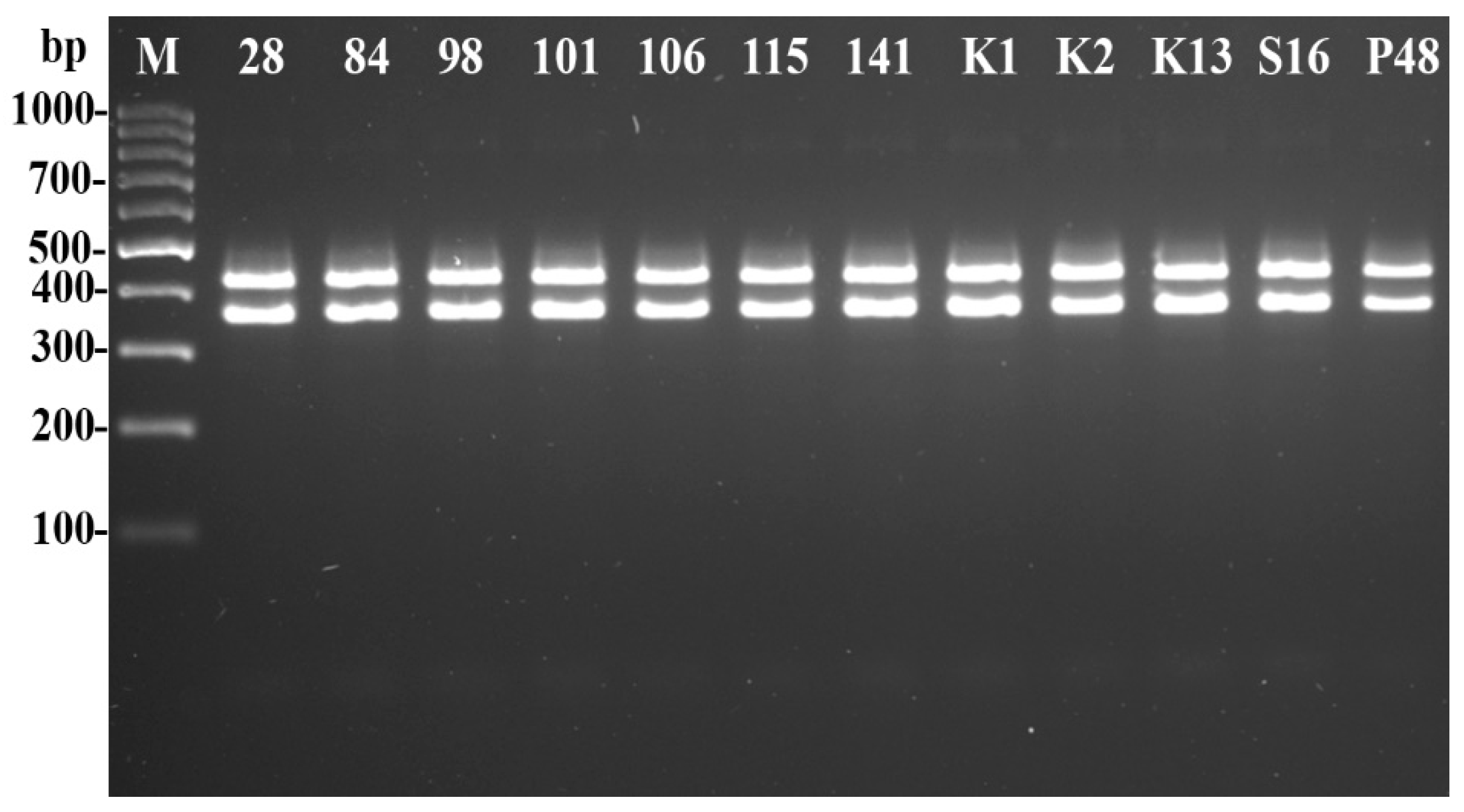 Agronomy 13 00199 g002