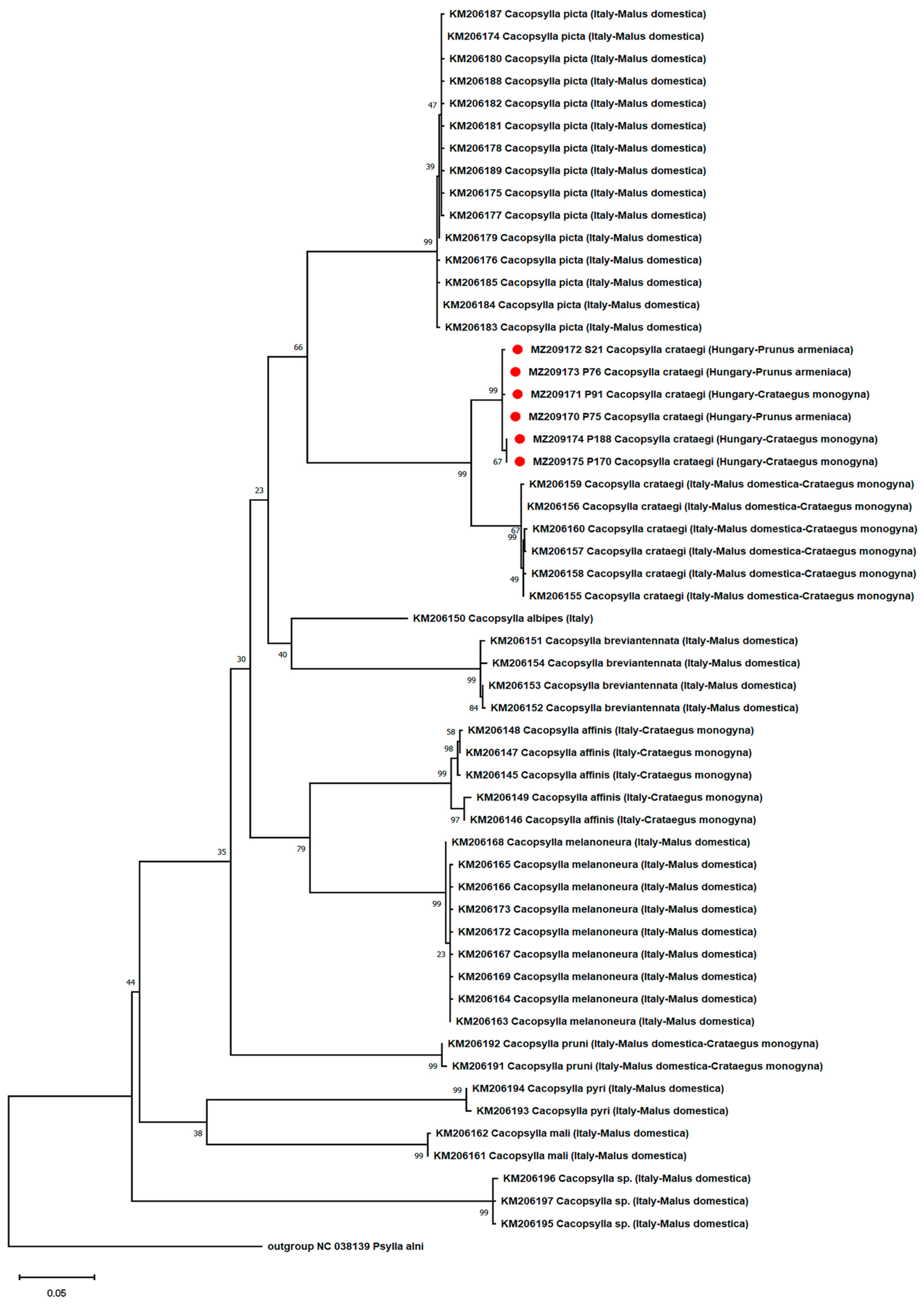Agronomy 13 00199 g005