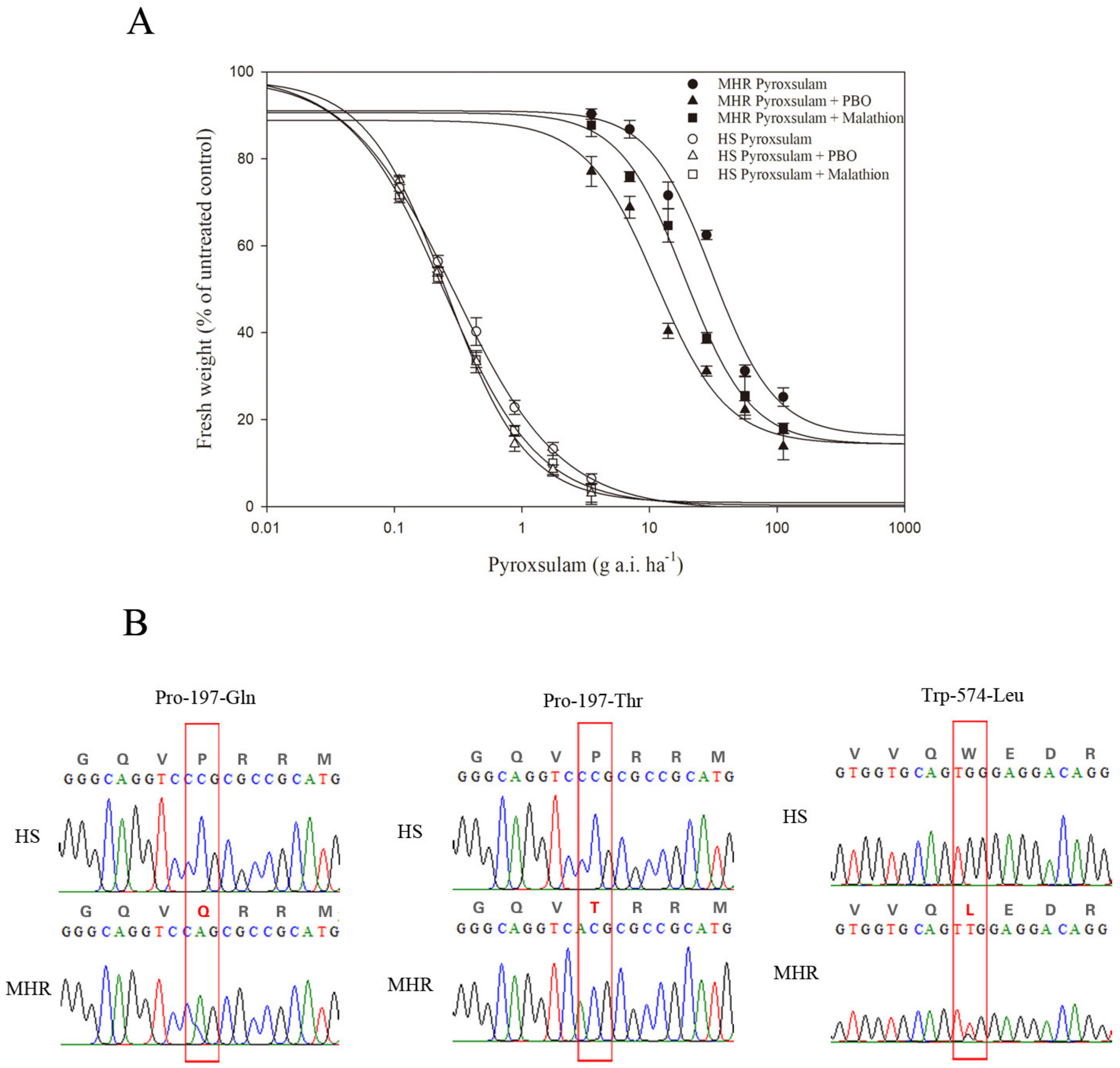 Agronomy 13 00216 g002
