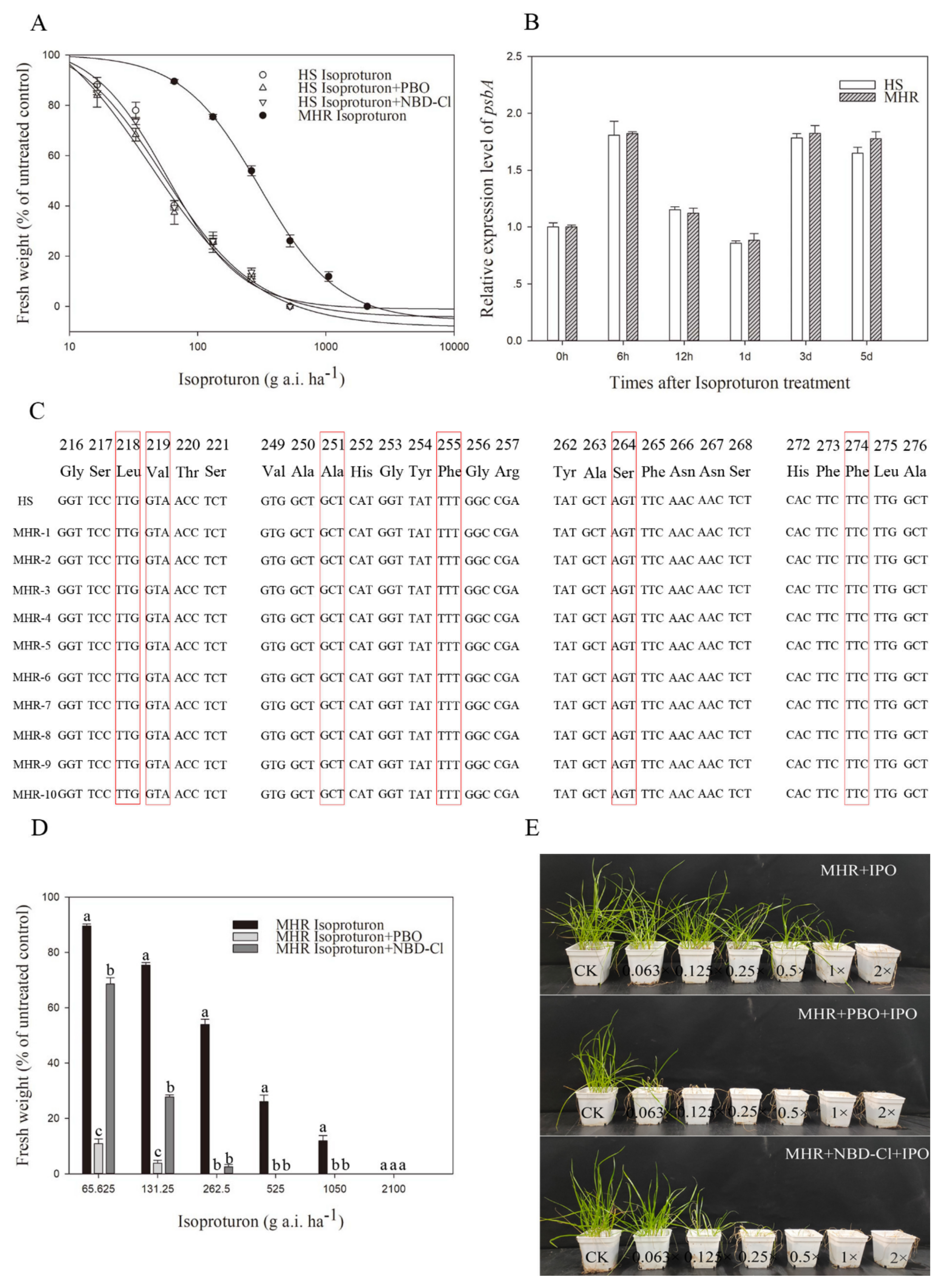 Agronomy 13 00216 g003