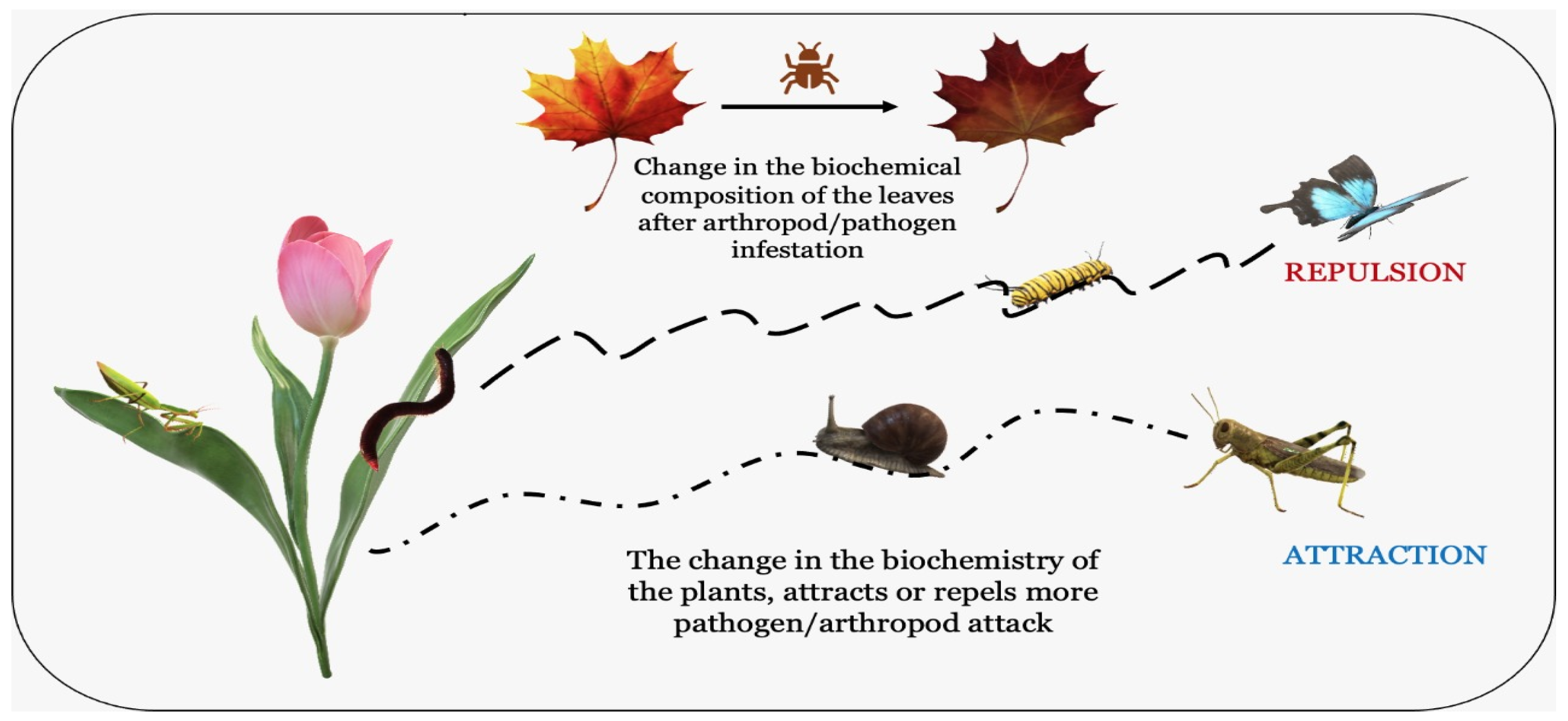 Agronomy 13 00280 g003