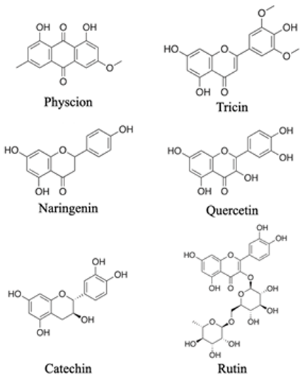 Agronomy 13 00280 i003