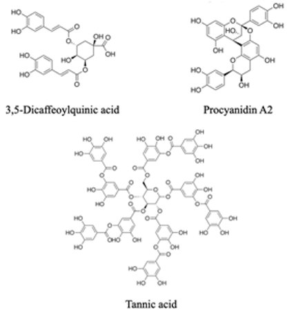 Agronomy 13 00280 i004