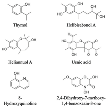 Agronomy 13 00280 i005