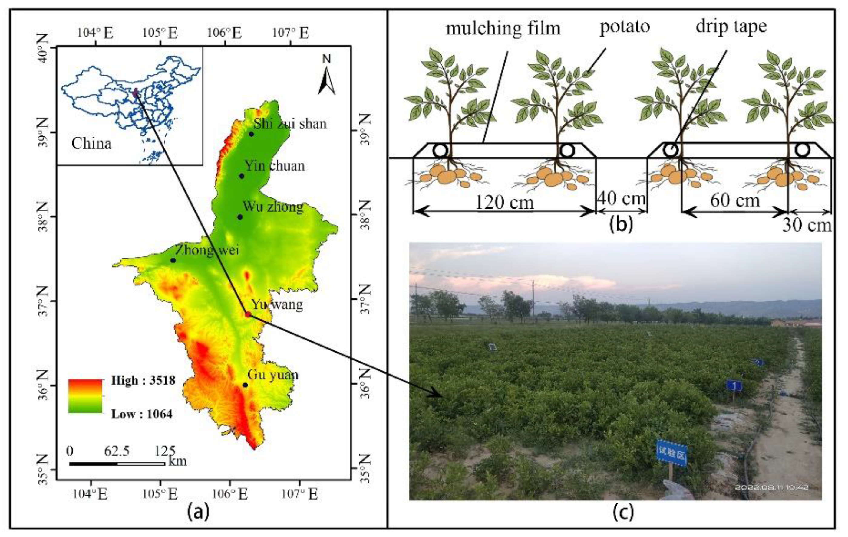 Agronomy 13 00308 g001 Agronomy 13 00308 g001