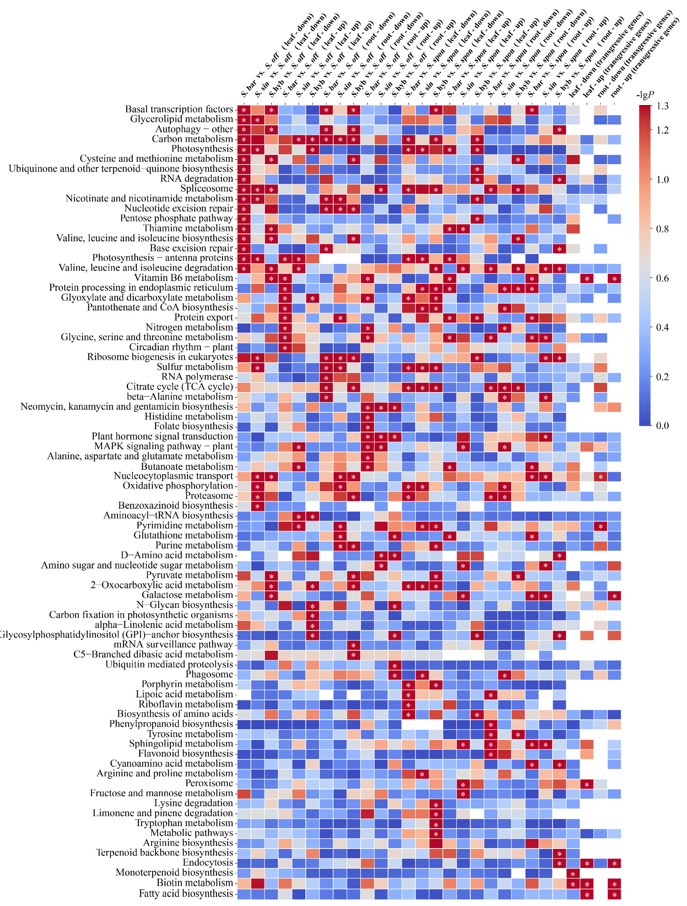 Agronomy 13 00348 g002