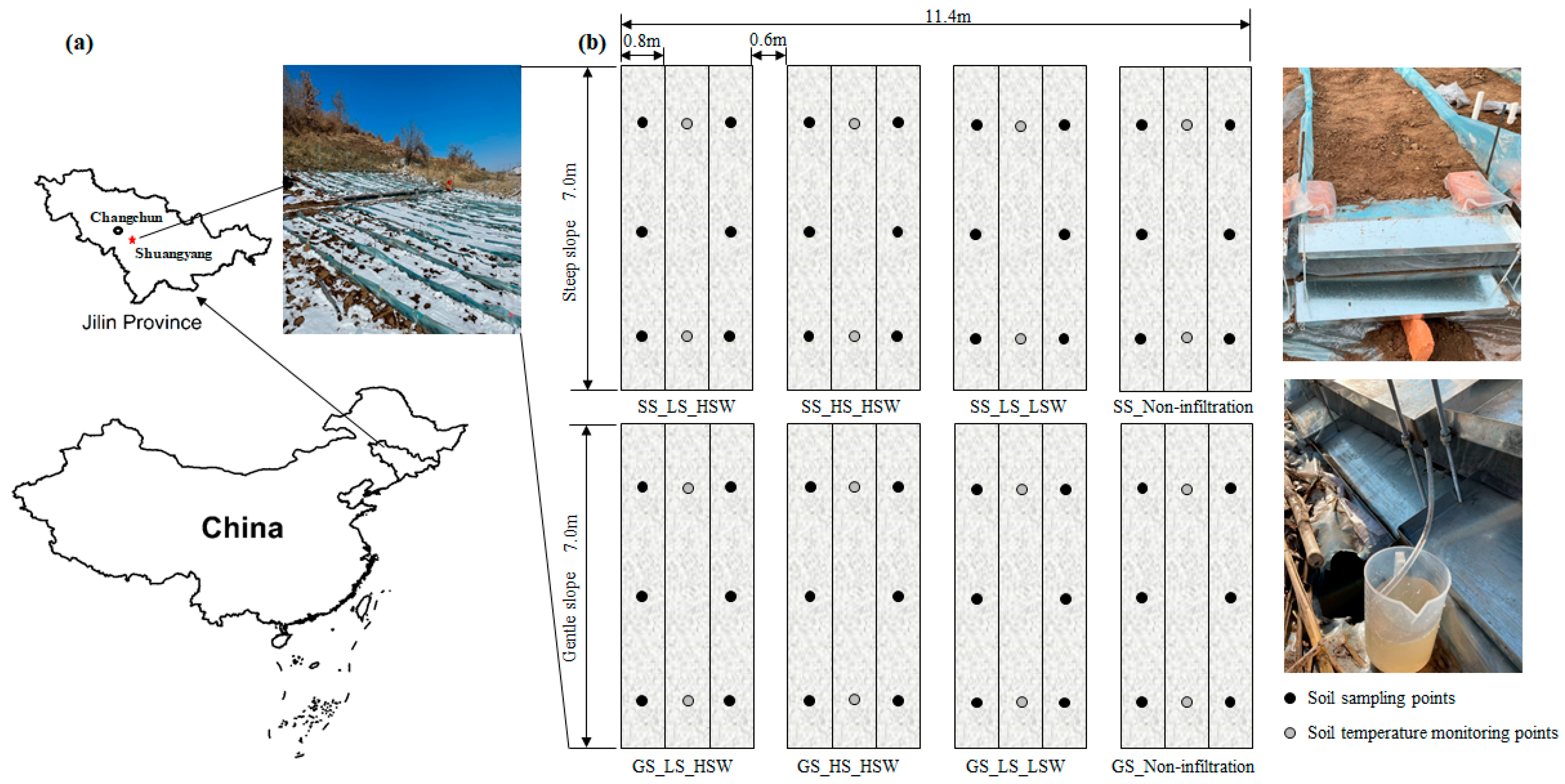 Agronomy | Free Full-Text | Critical Factors Affecting Water and