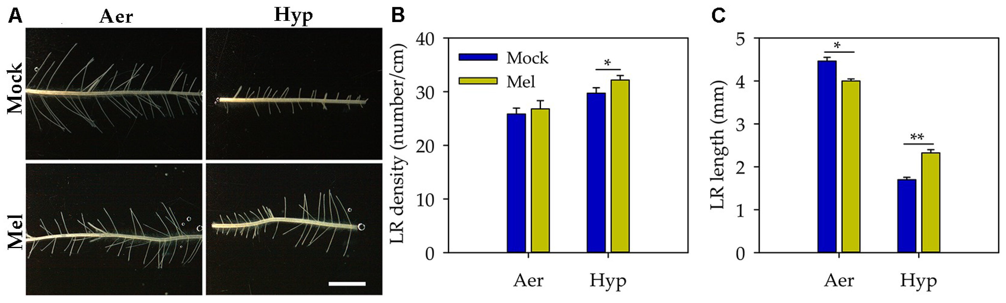 Agronomy 13 00386 g002