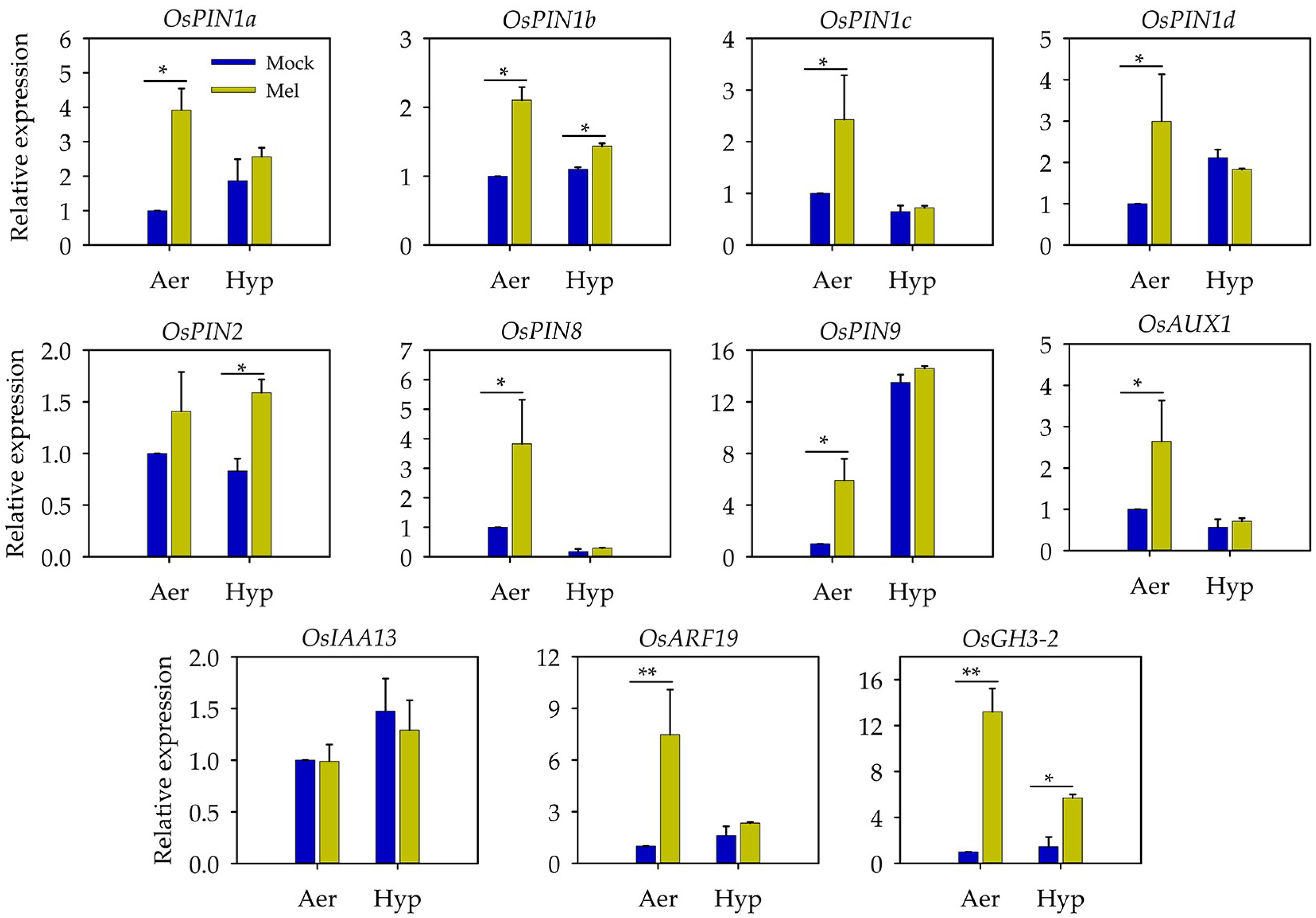 Agronomy 13 00386 g006