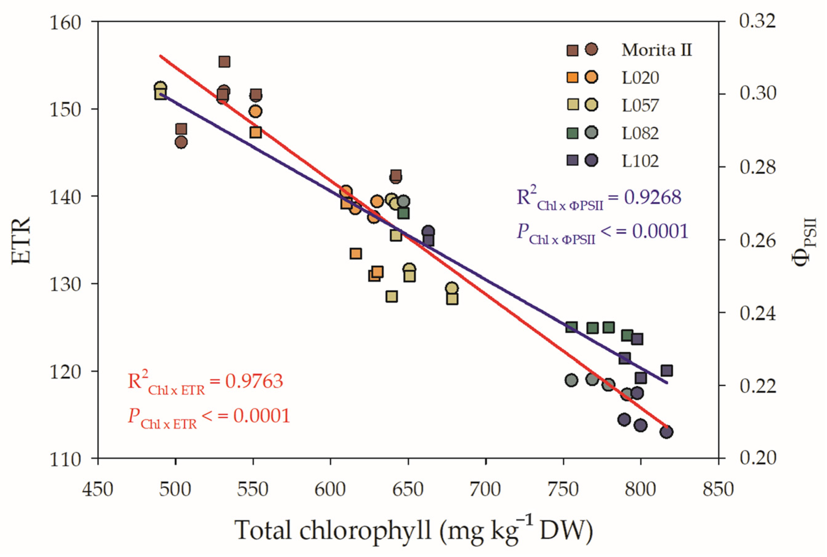 Agronomy 13 00403 g007 Agronomy 13 00403 g007