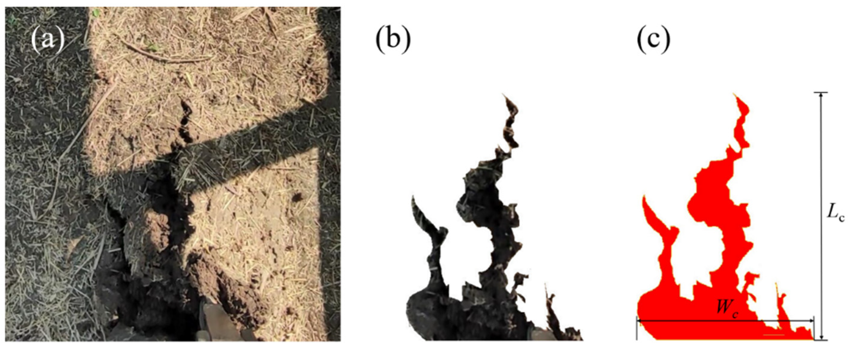 Agronomy 13 00418 g005