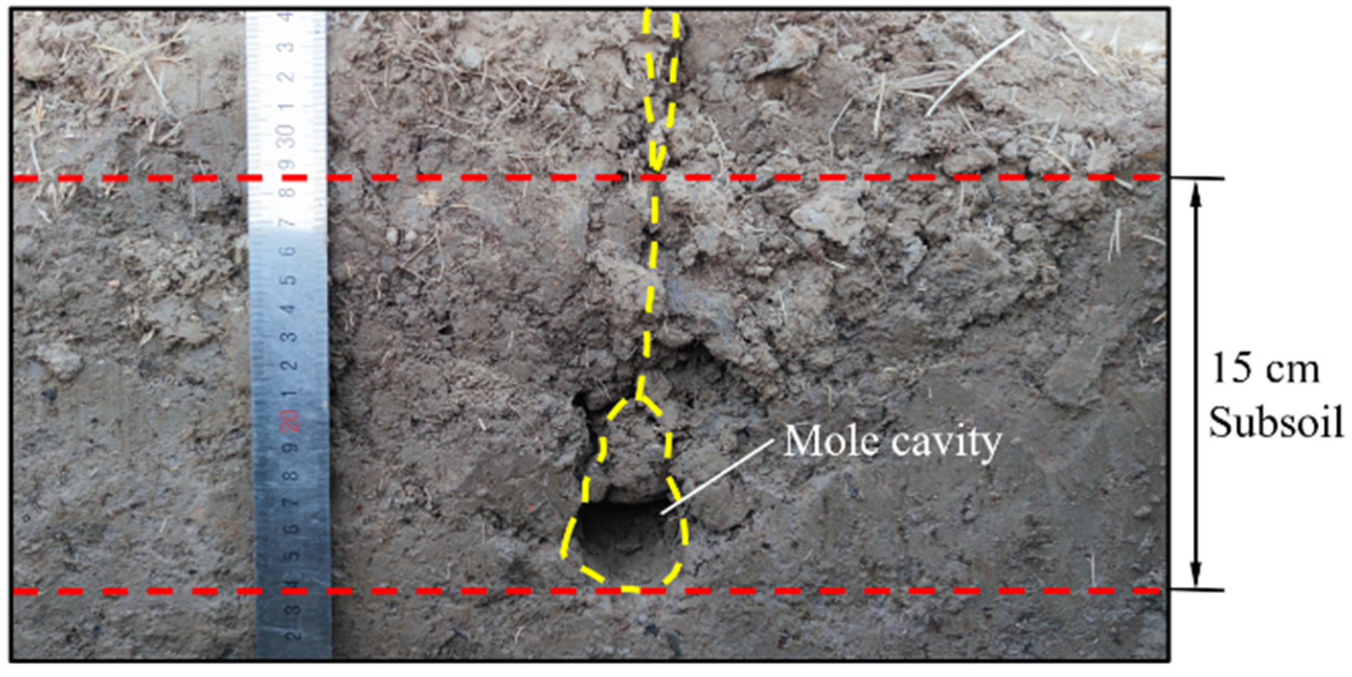 Agronomy 13 00418 g013