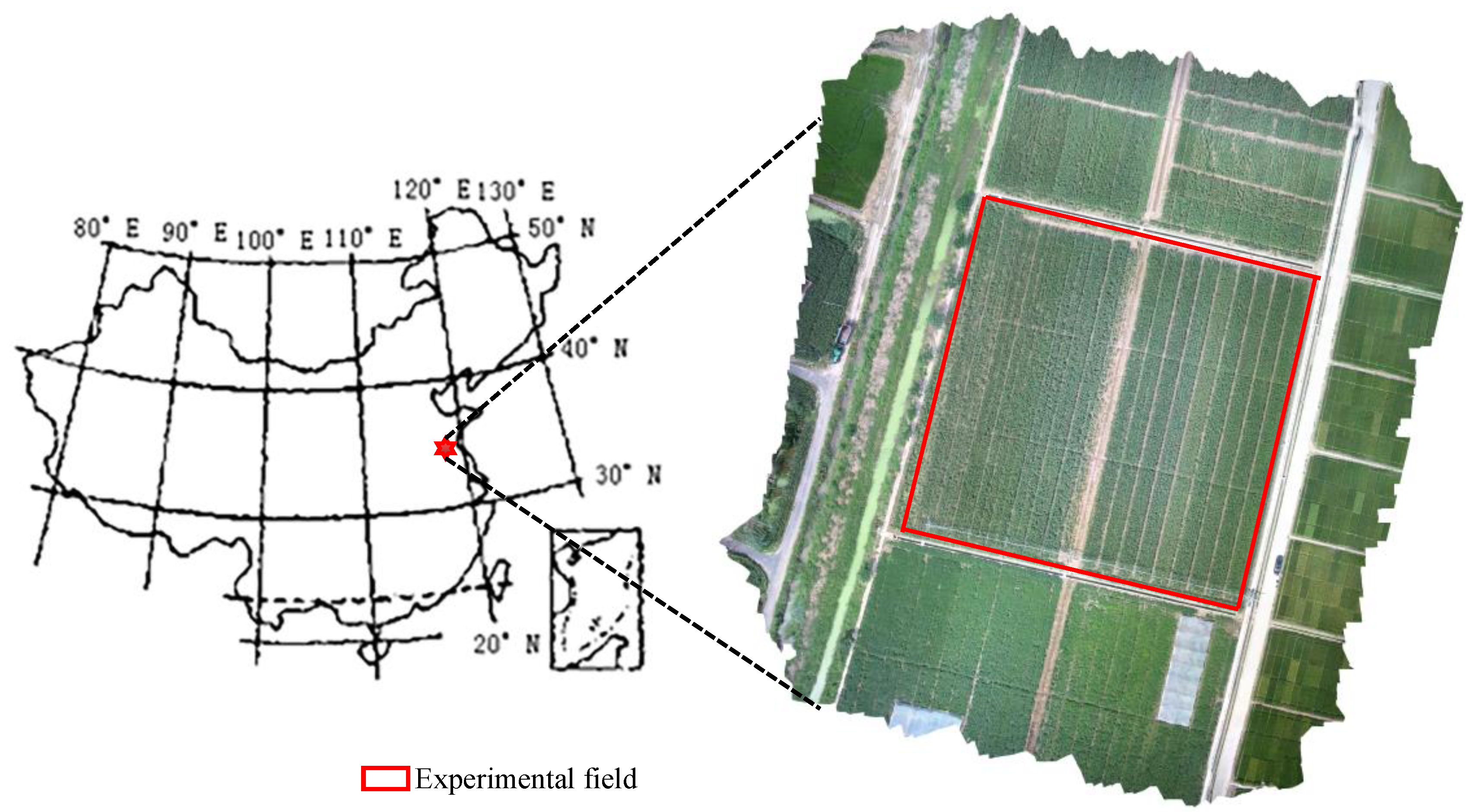 Agronomy 13 00421 g001