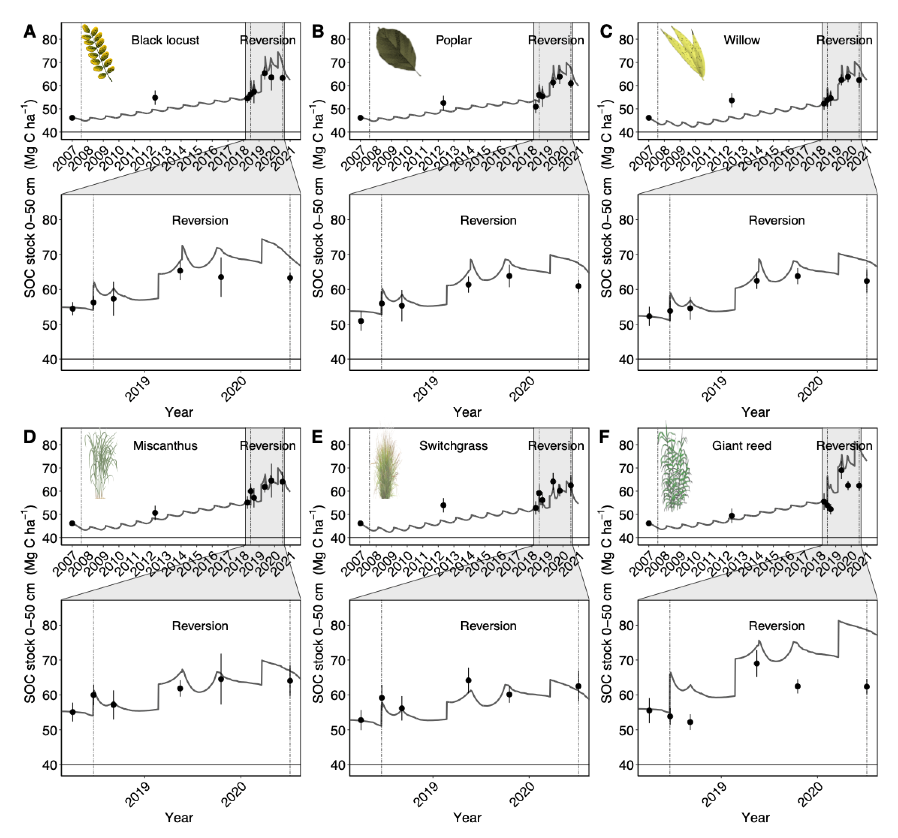 Agronomy 13 00447 g002 Agronomy 13 00447 g002