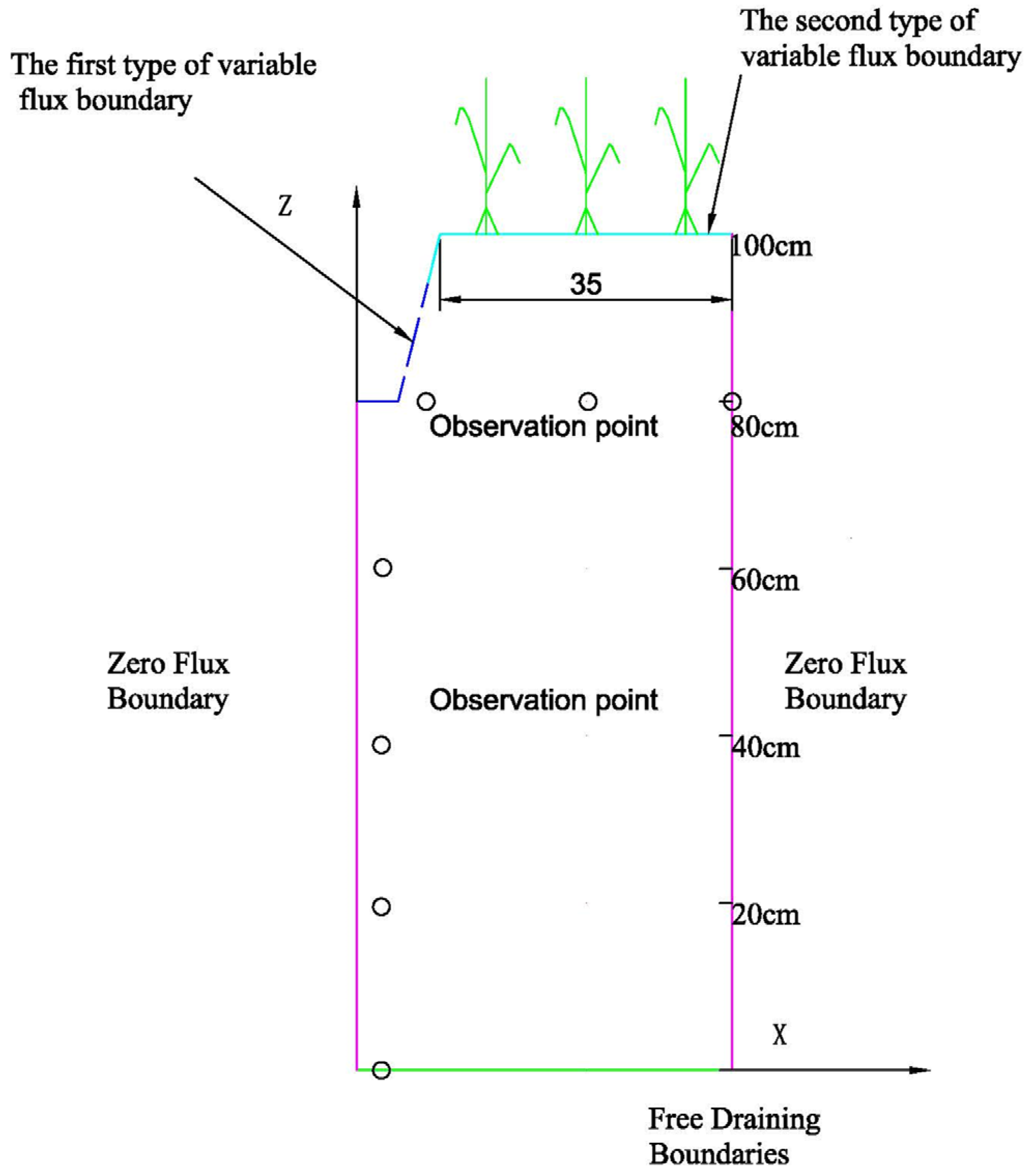 Agronomy 13 00457 g003