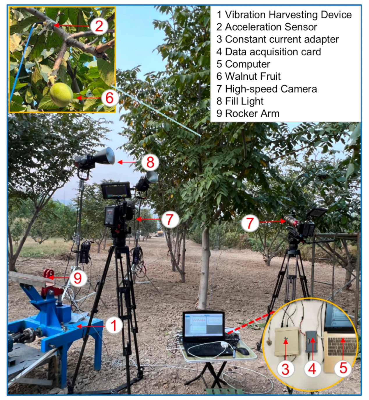 Agronomy 13 00461 g003