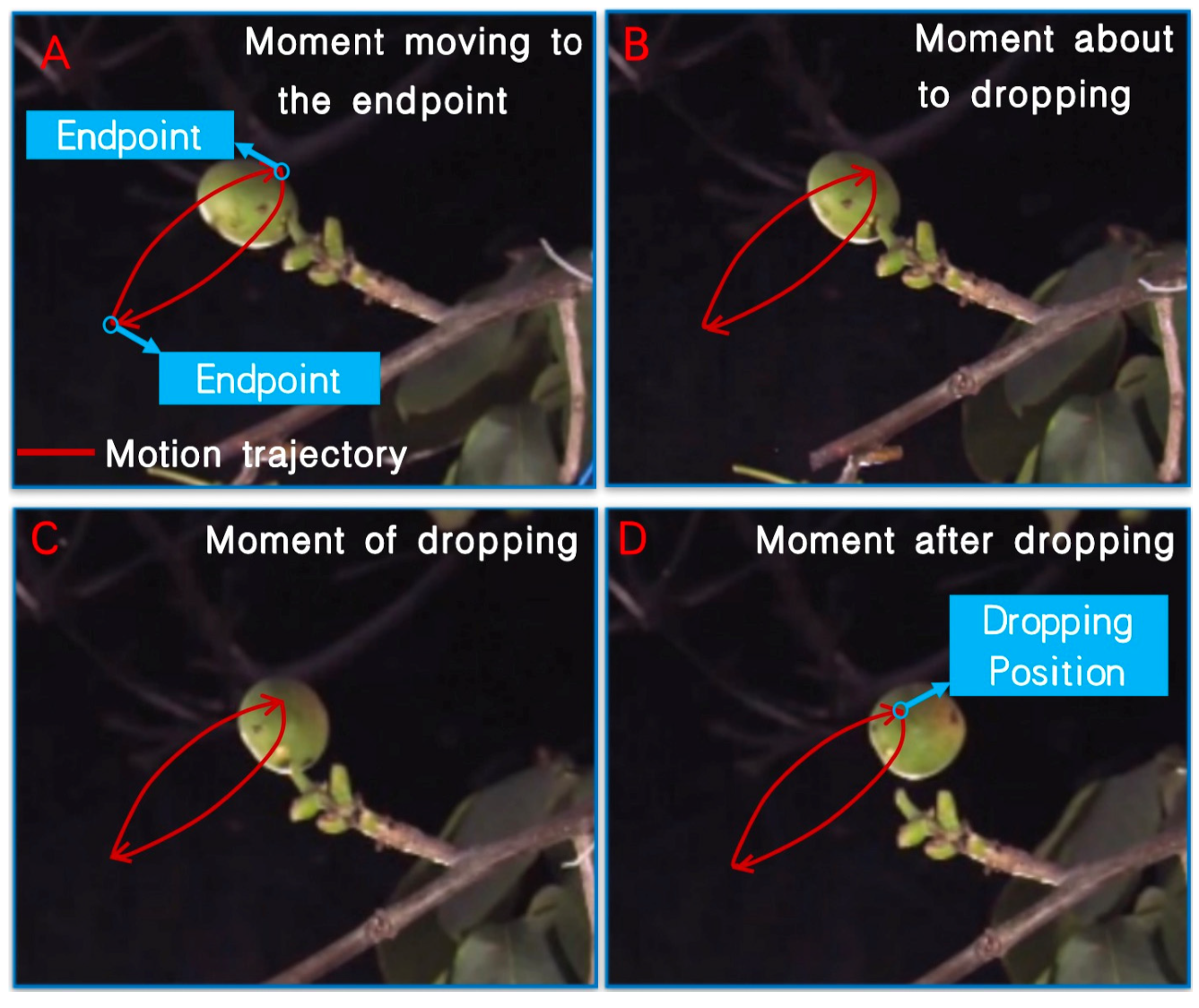 Agronomy 13 00461 g006