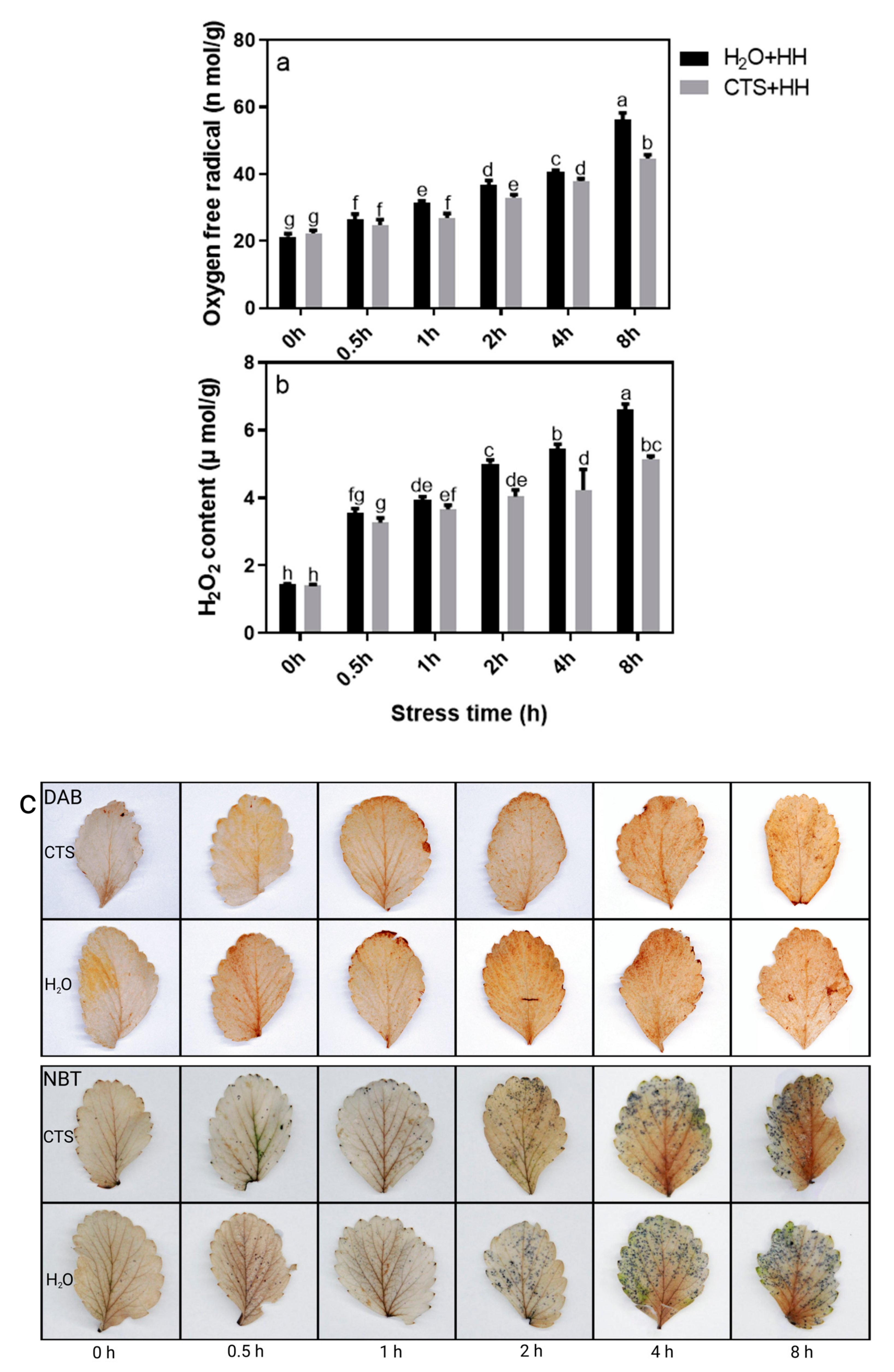Agronomy 13 00517 g005