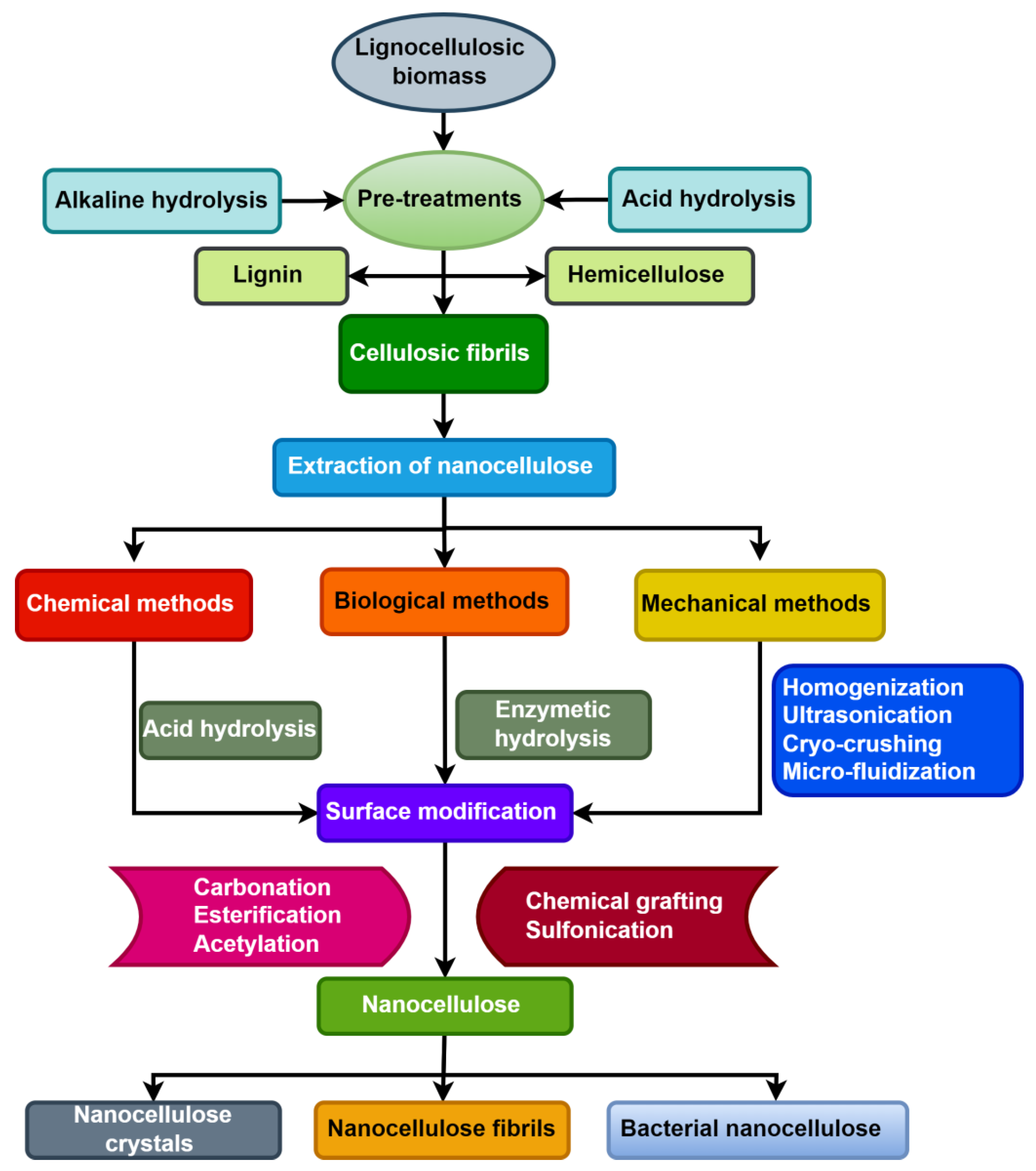 Agronomy 13 00561 g007 Agronomy 13 00561 g007