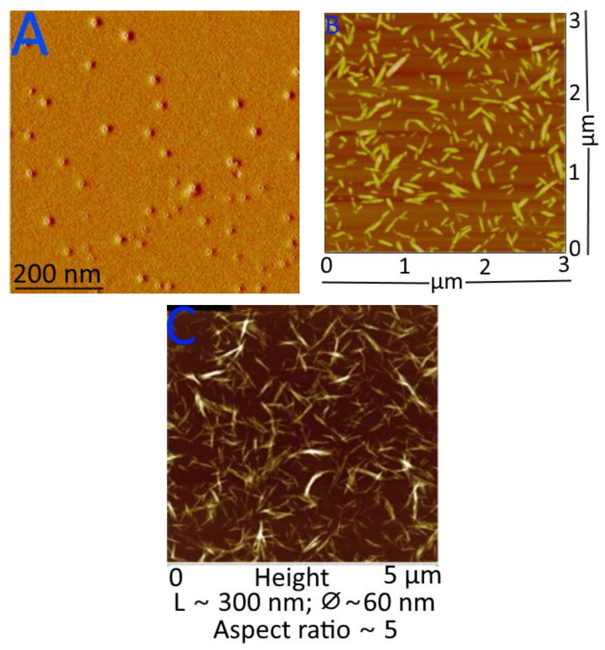 Agronomy 13 00561 g008 Agronomy 13 00561 g008