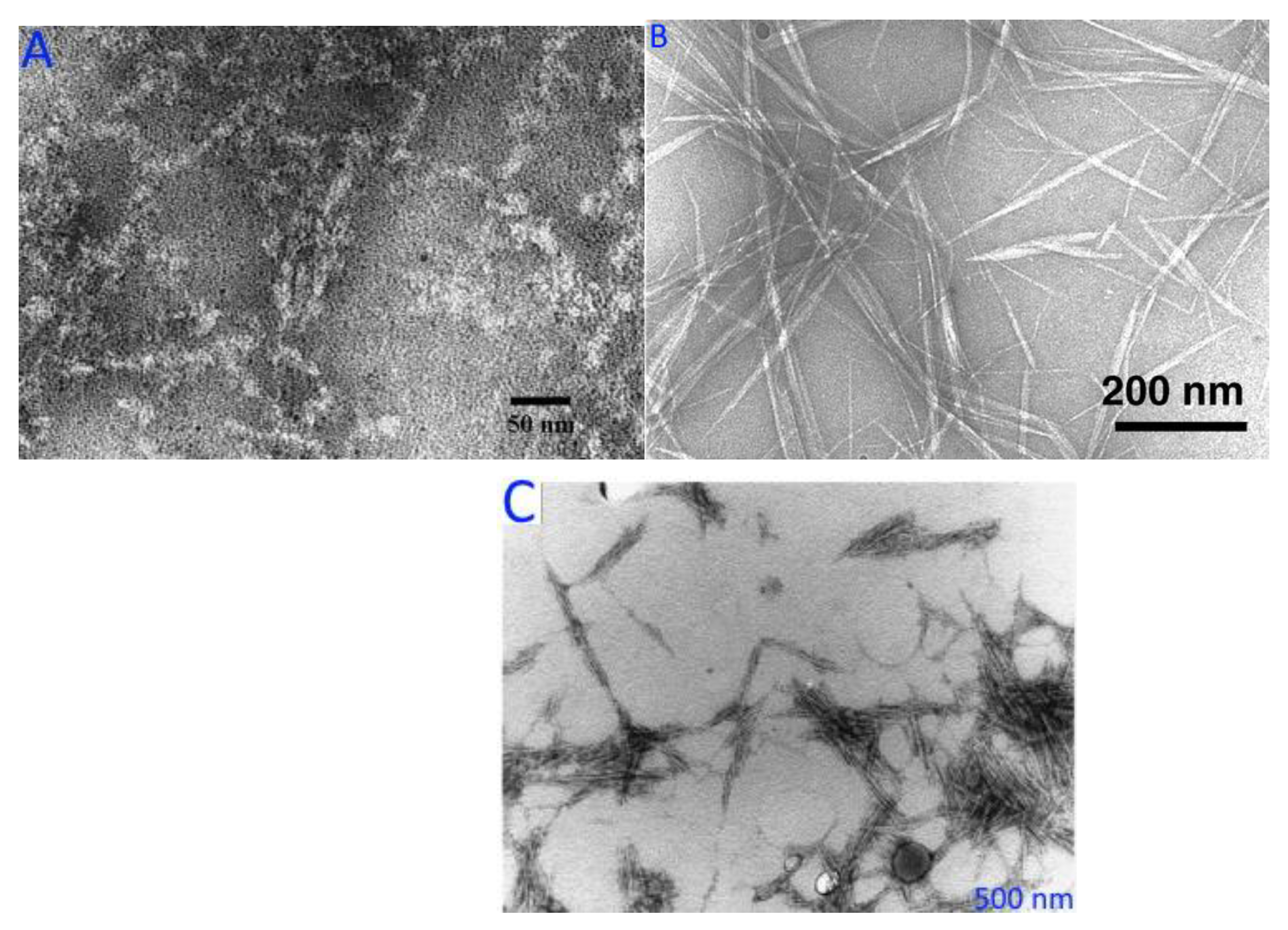 Agronomy 13 00561 g009 Agronomy 13 00561 g009