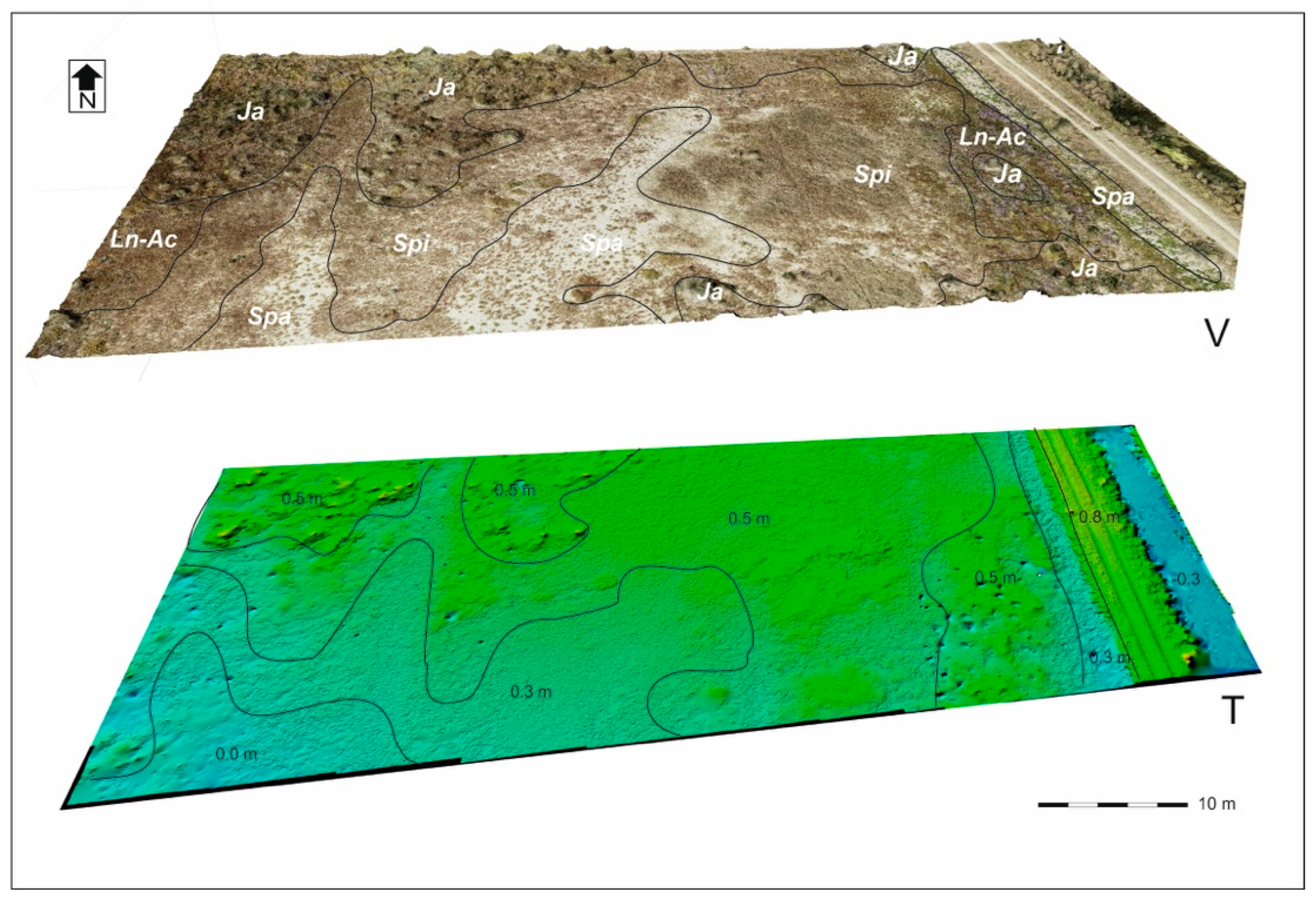 Agronomy 13 00615 g005 Agronomy 13 00615 g005
