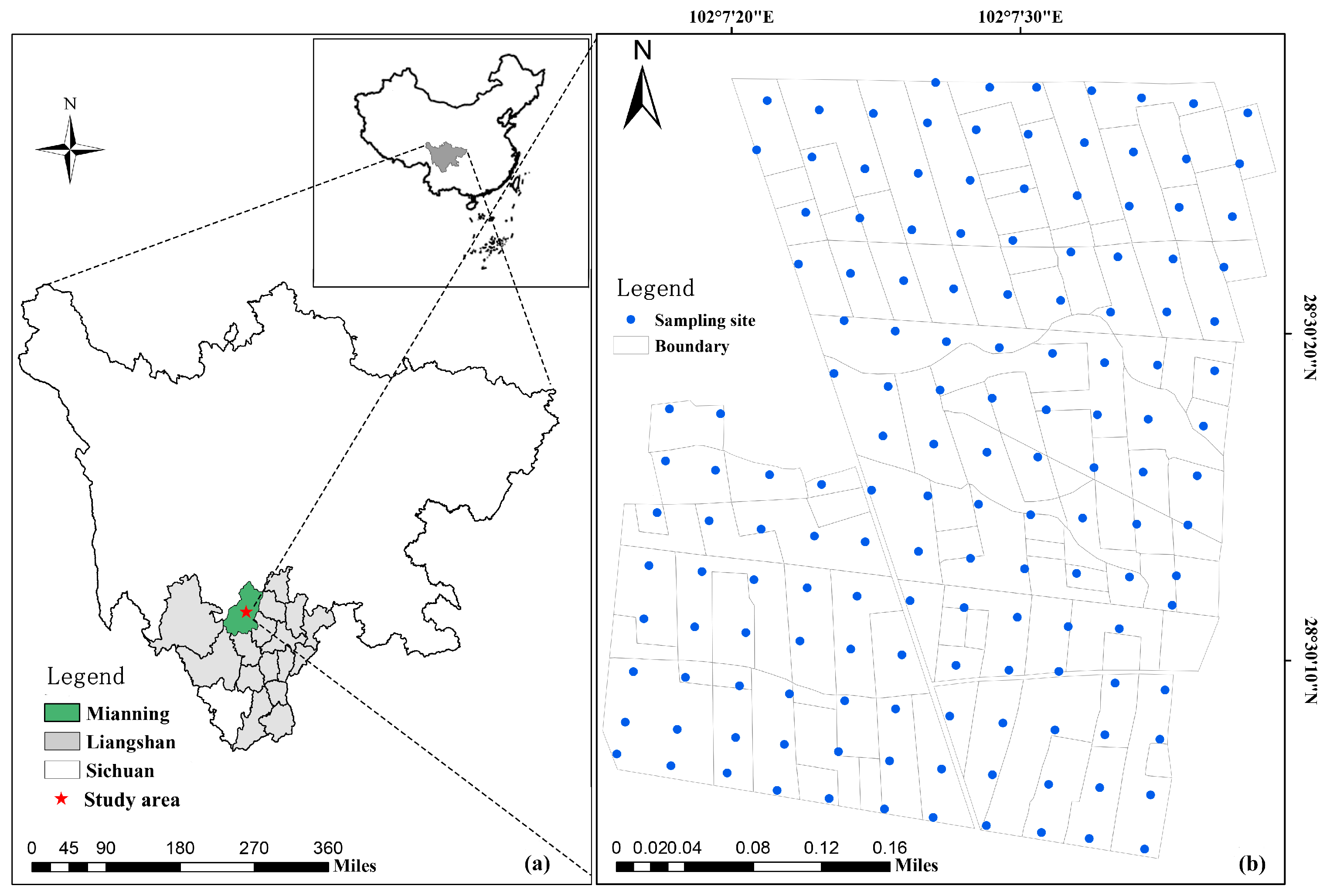 Agronomy 13 00617 g001