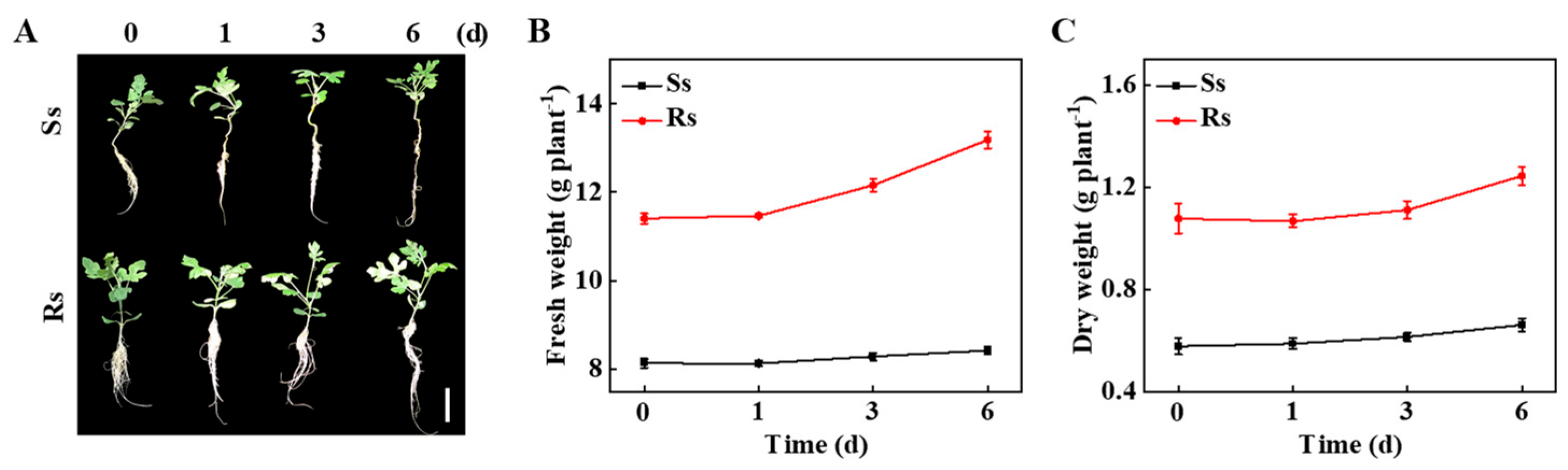 Agronomy 13 00618 g001