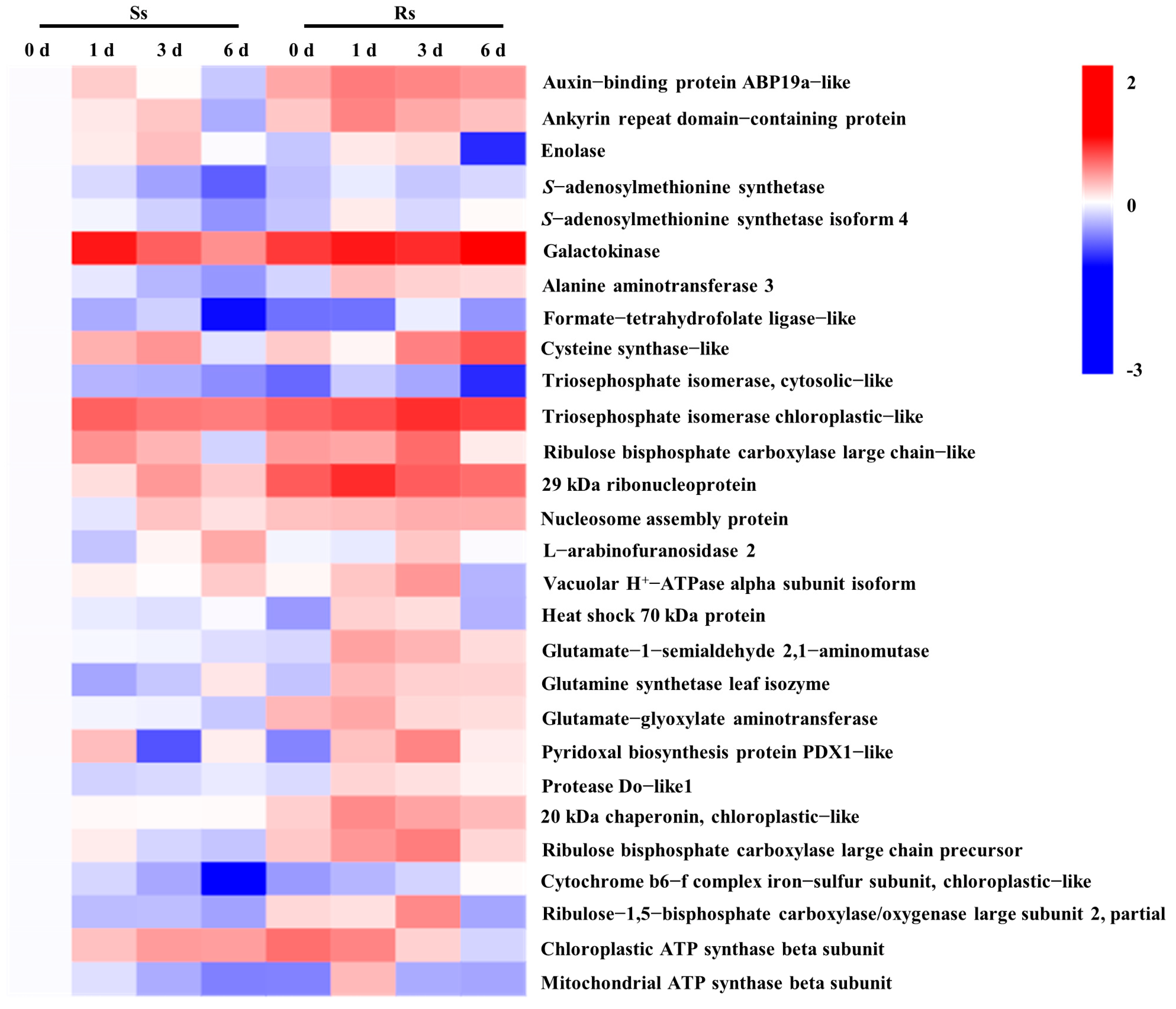 Agronomy 13 00618 g006