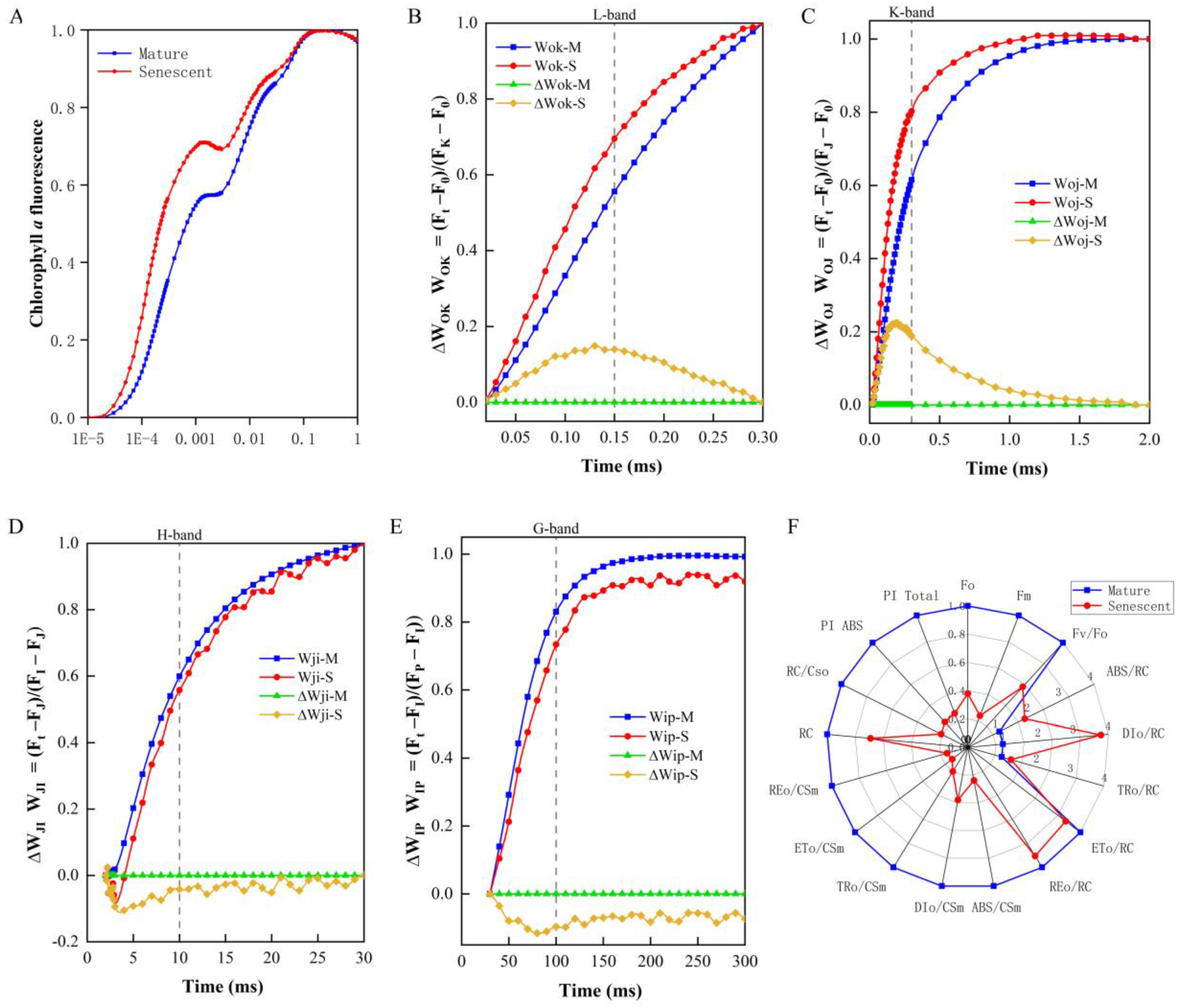 Agronomy 13 00623 g003 Agronomy 13 00623 g003