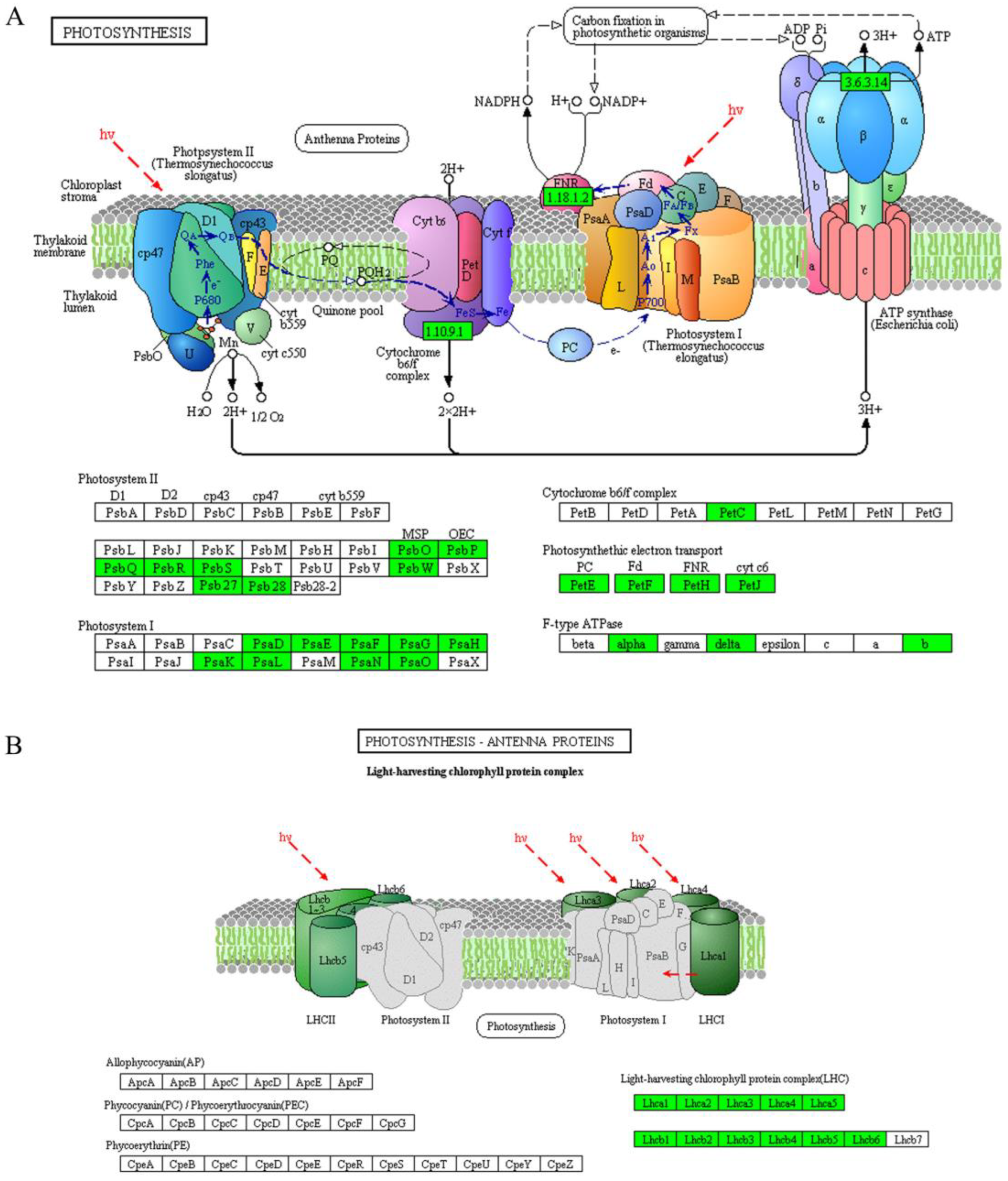 Agronomy 13 00623 g005 Agronomy 13 00623 g005