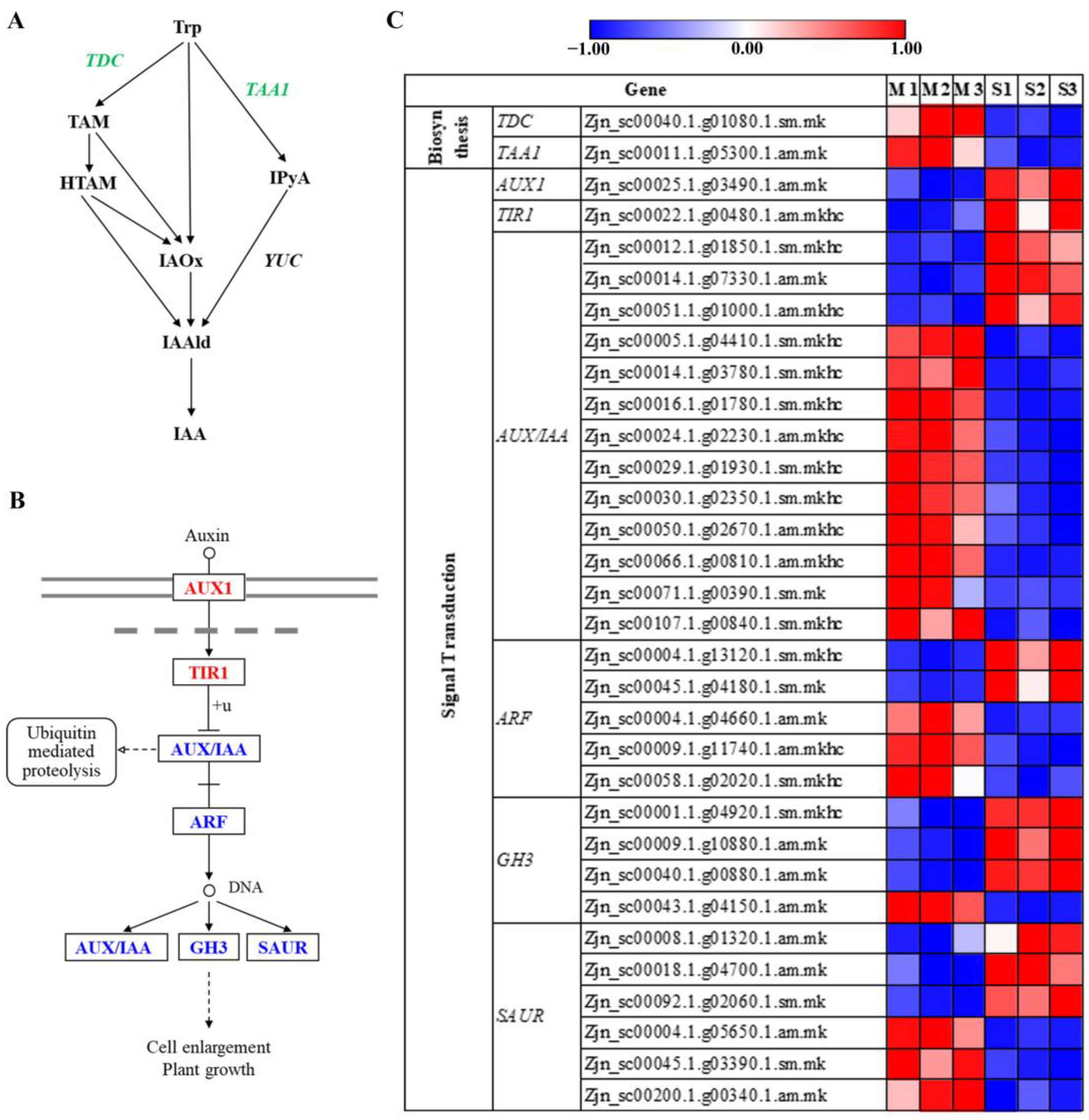 Agronomy 13 00623 g006 Agronomy 13 00623 g006