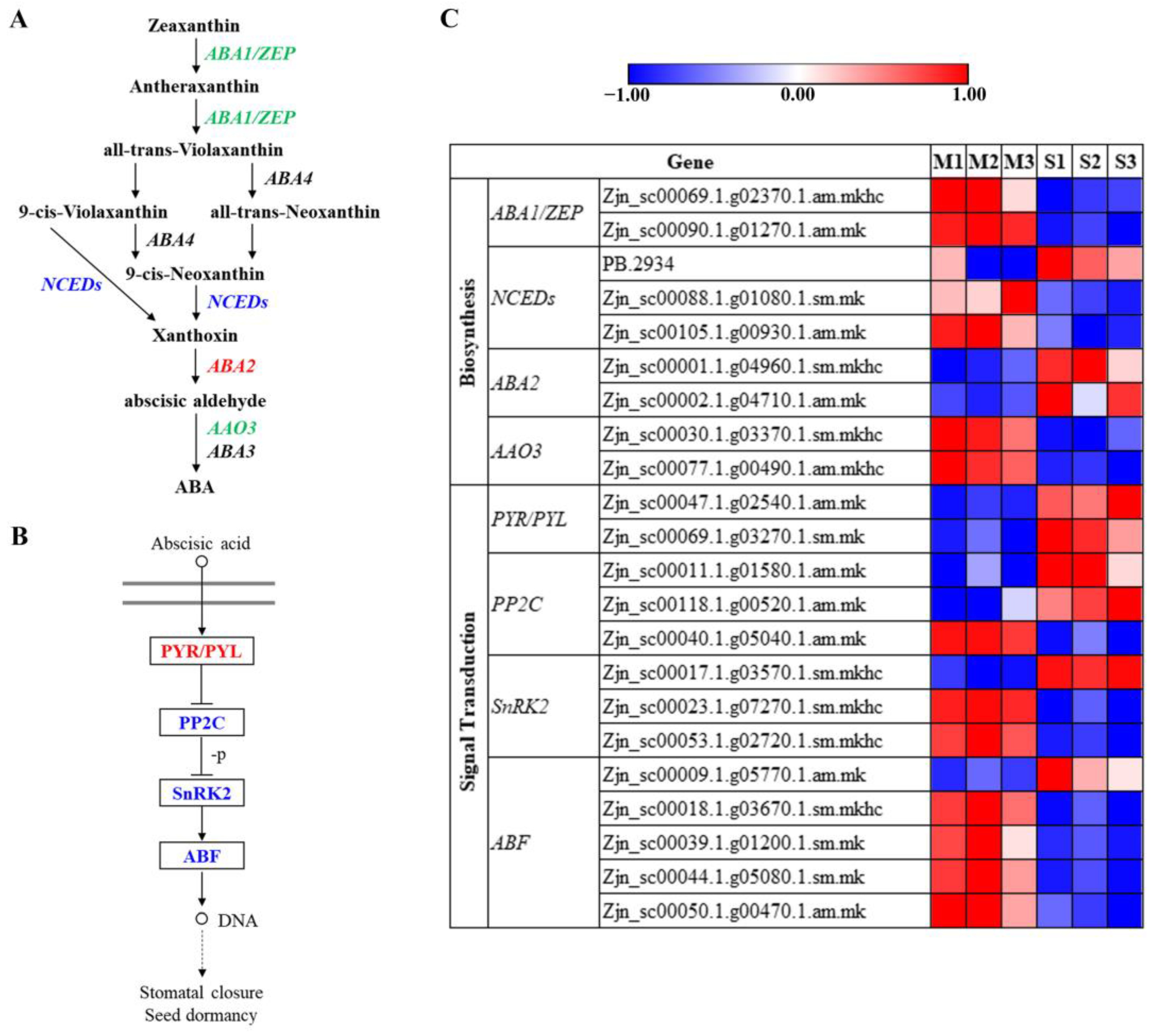 Agronomy 13 00623 g007 Agronomy 13 00623 g007
